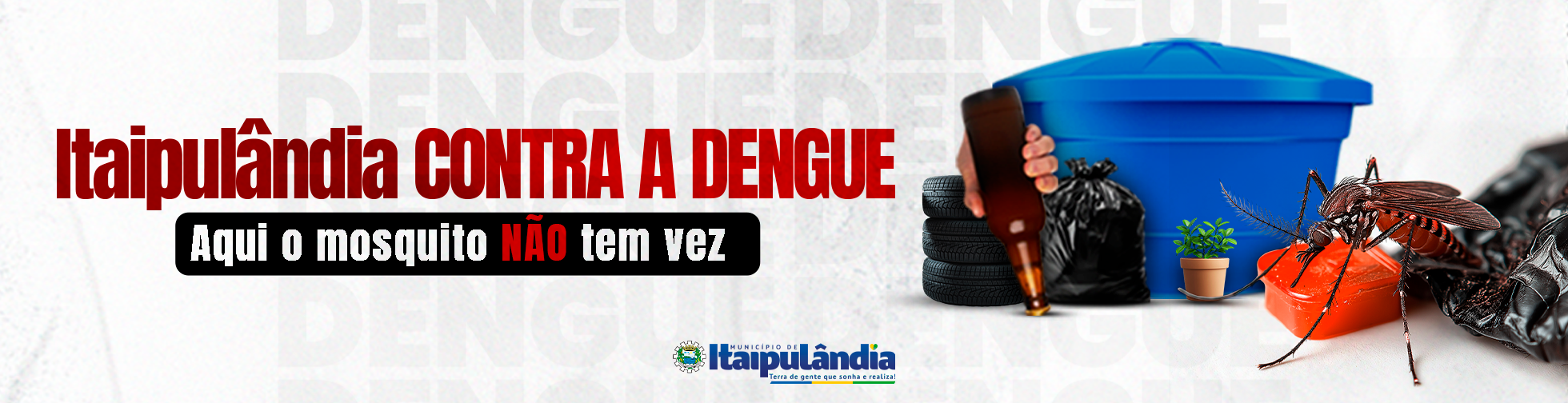 DENGUE 2025