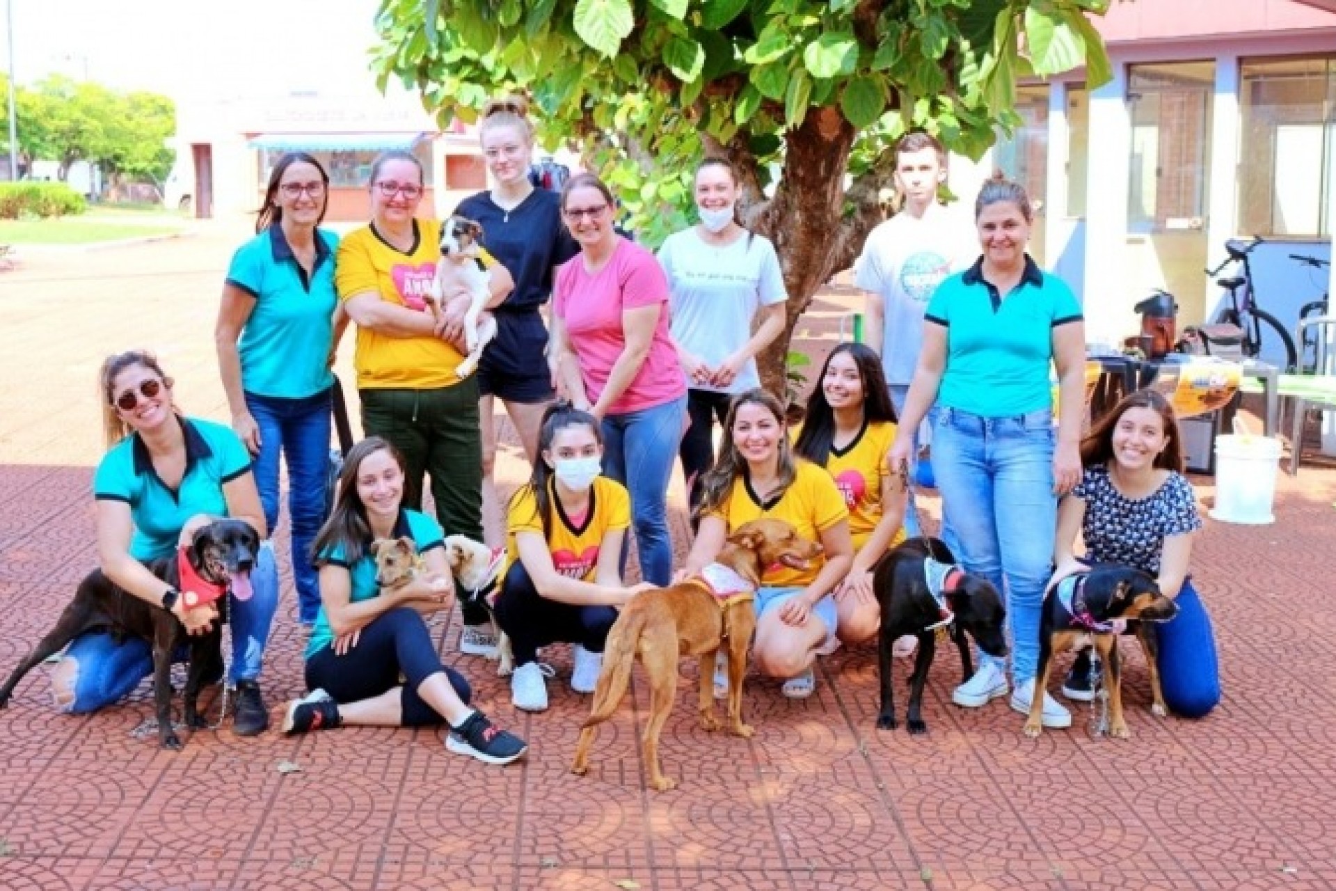 1ª ADOCÃO encanta moradores de Itaipulândia e nove cães são adotados