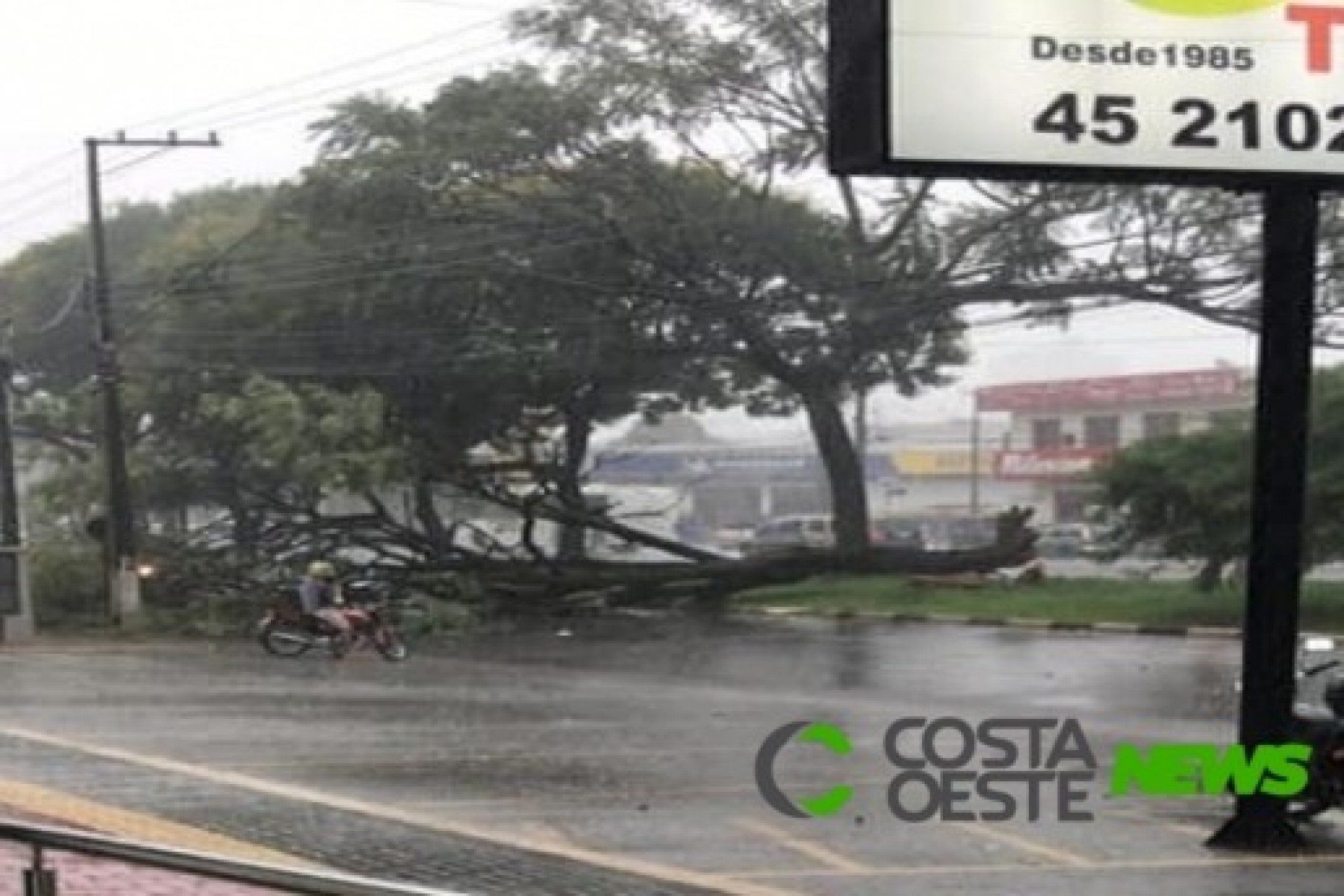 A chuva que caiu no final da manhã derrubou árvores e interditou uma das principais vias em Foz