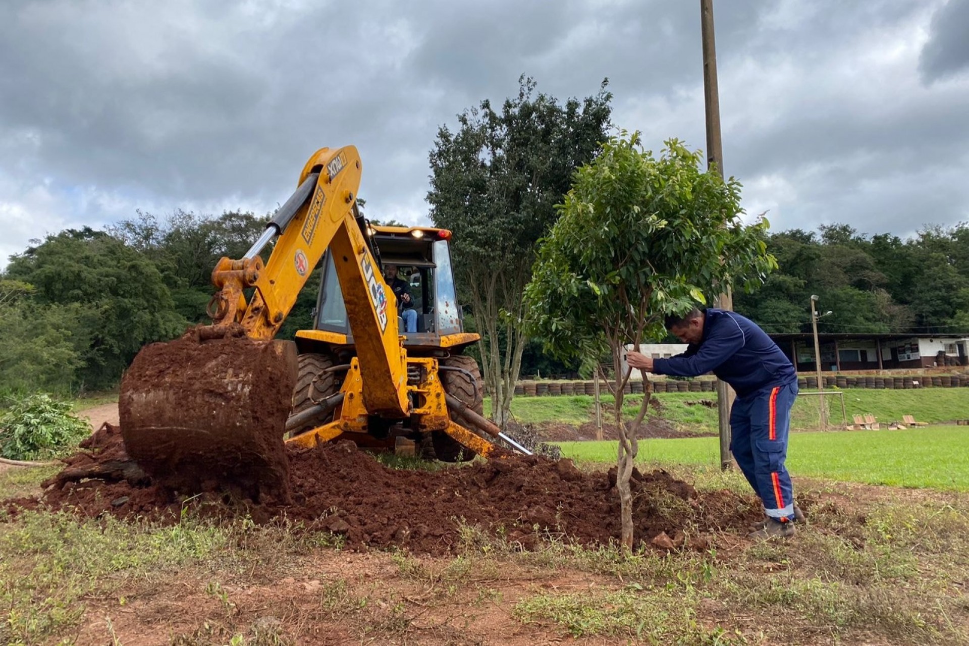 Administração Municipal de Missal realiza replantio de árvores