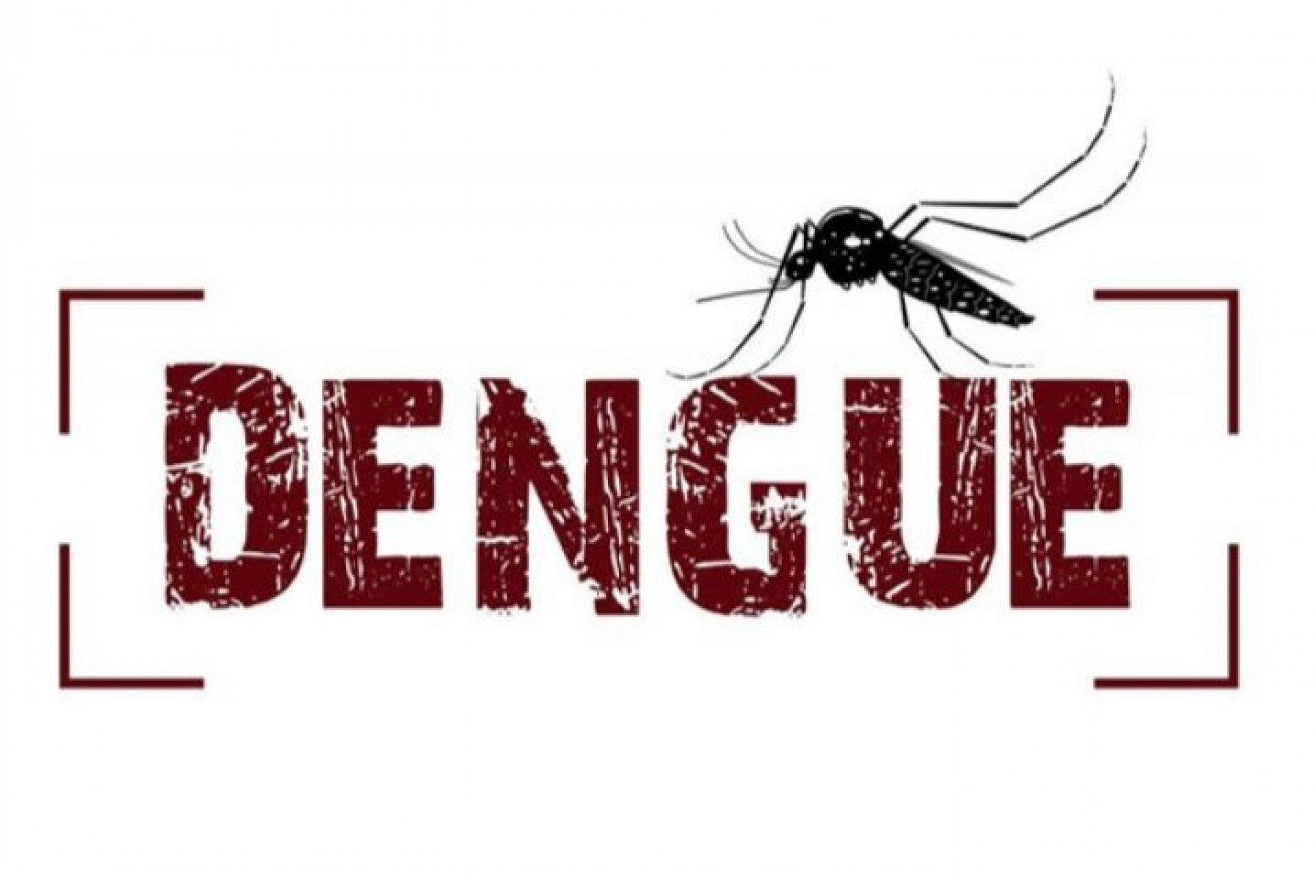 Administração Municipal de Missal reforça pedido sobre os cuidados com a dengue