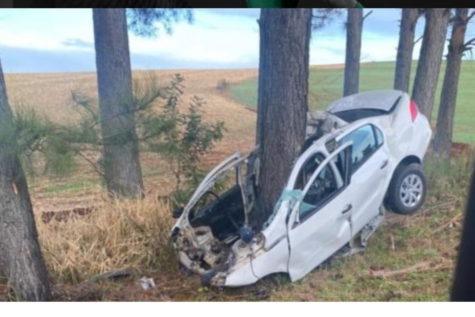 Árvore divide carro ao meio e motorista morre em gravíssimo acidente