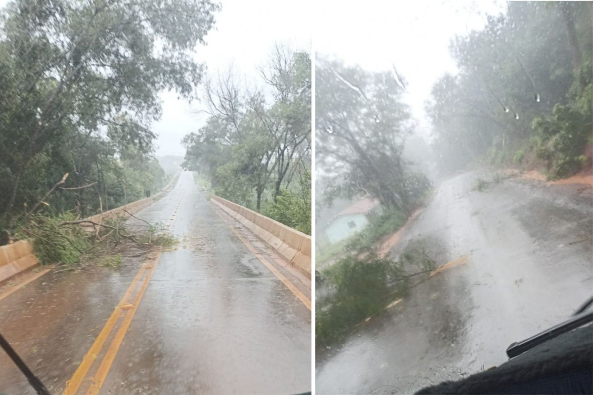 Atenção Condutores: devem ficar atentos com galhos na pista na PR 495 entre Missal e Santa Helena