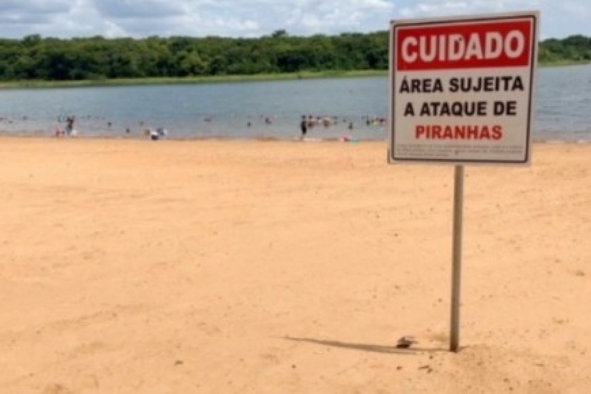 Bombeiros reforçam alertas sobre ataques de piranhas nas praias da Costa Oeste