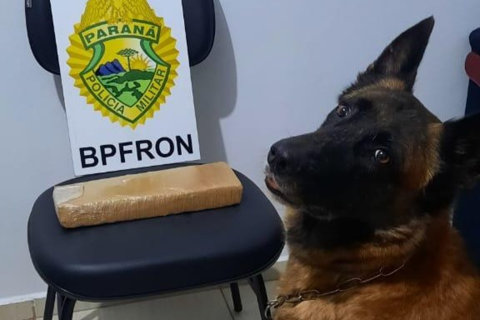 BPFron apreende casal transportando droga na PR 495