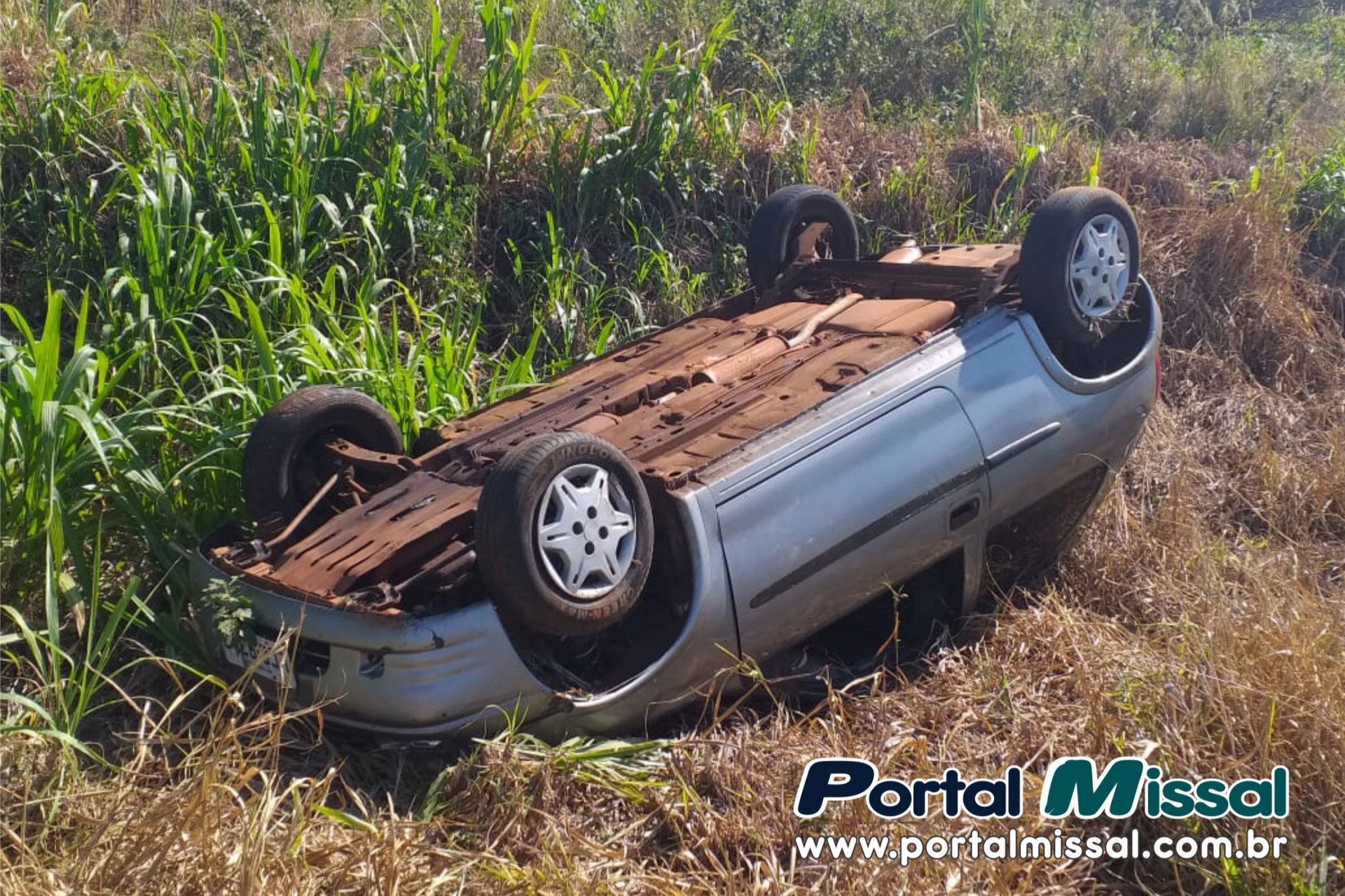 Cachorro na pista provoca capotamento na área Industrial de Missal