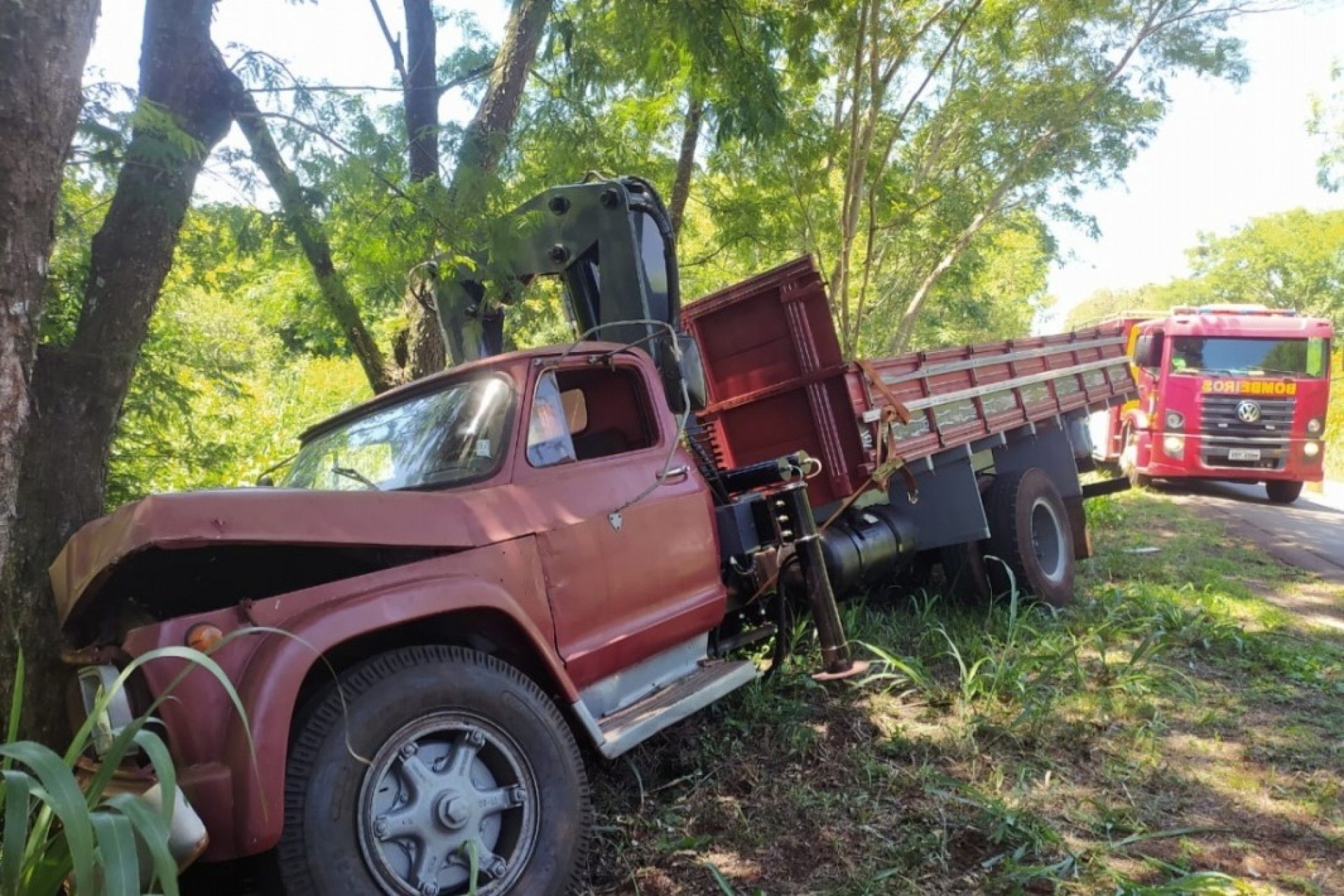 Caminhão sai da pista e colide em árvores as margens da PR 497