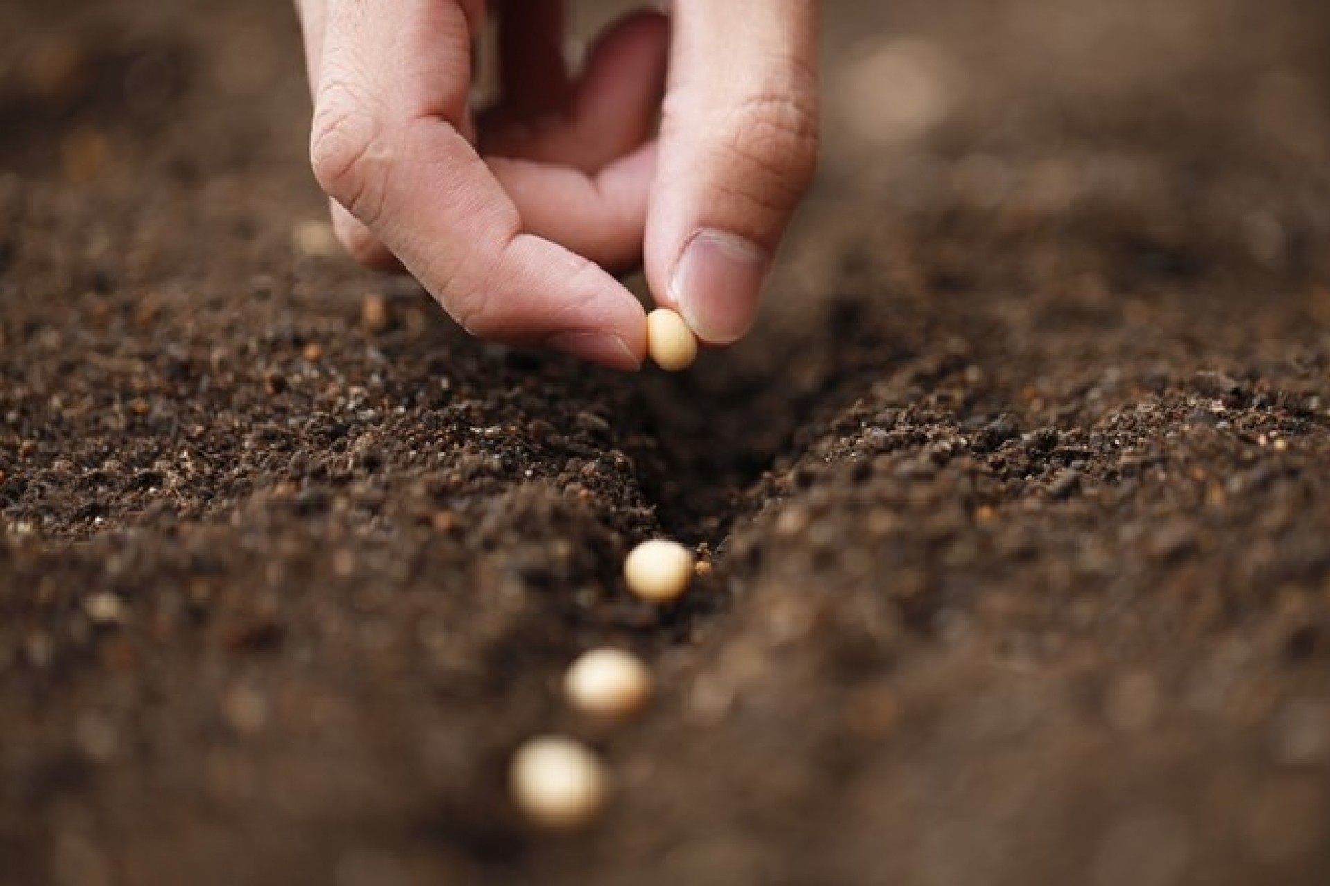 Cascavel sedia AGROPEC SUL e debate os “Novos Desafios na Proteção de Plantas”