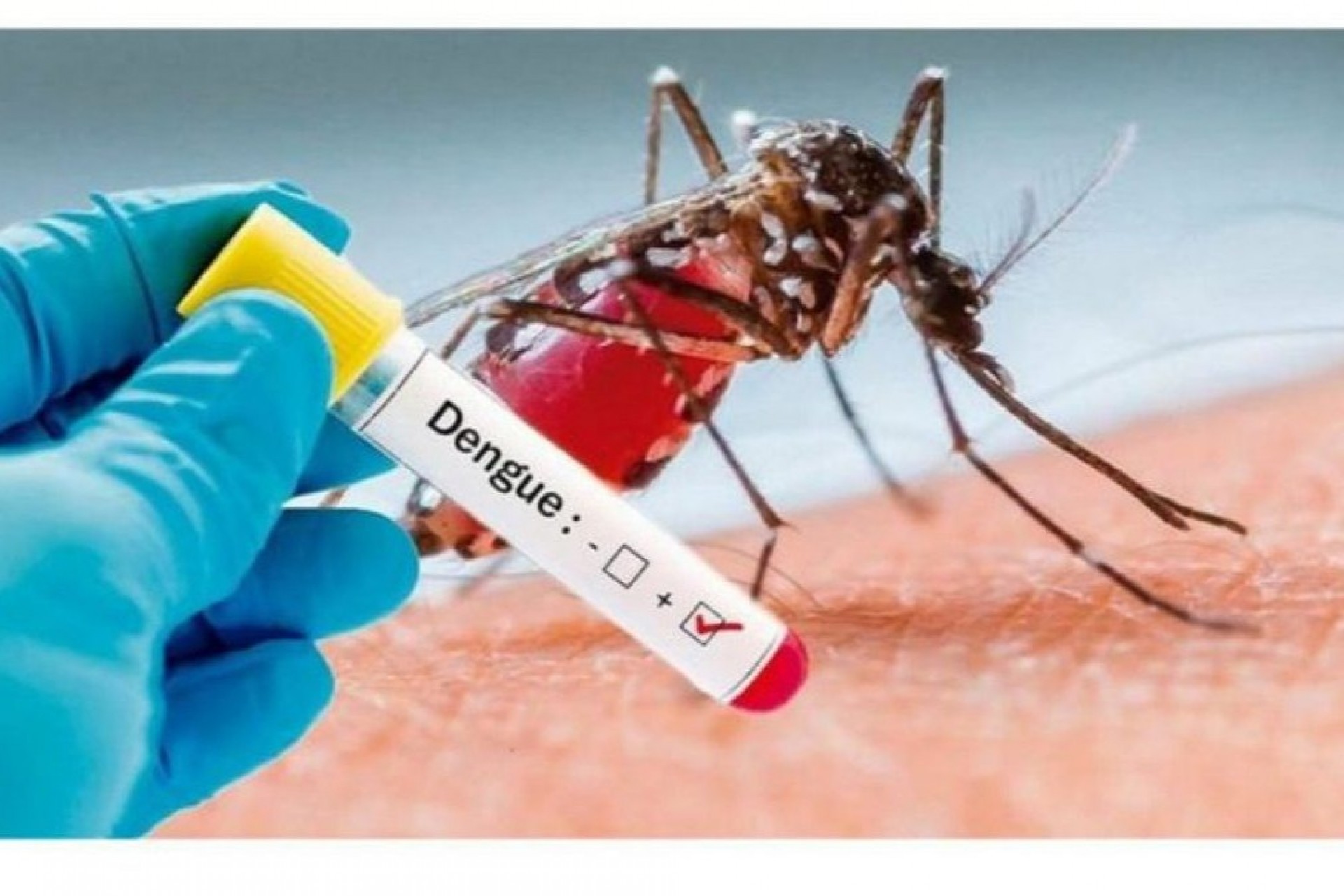 Casos de dengue em Missal chegam a 41 positivos