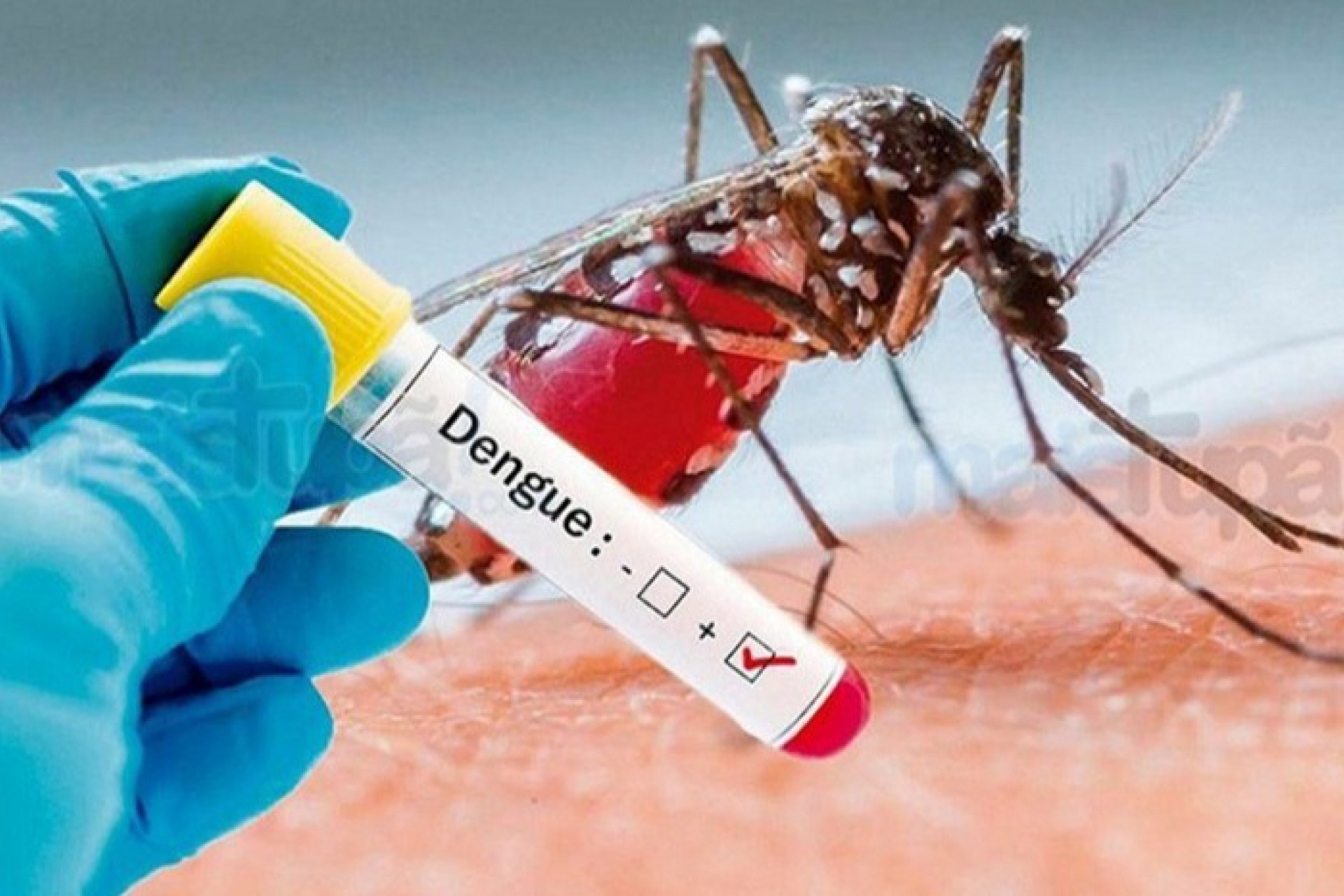 Casos Positivos de Dengue chegam a 280 em Missal