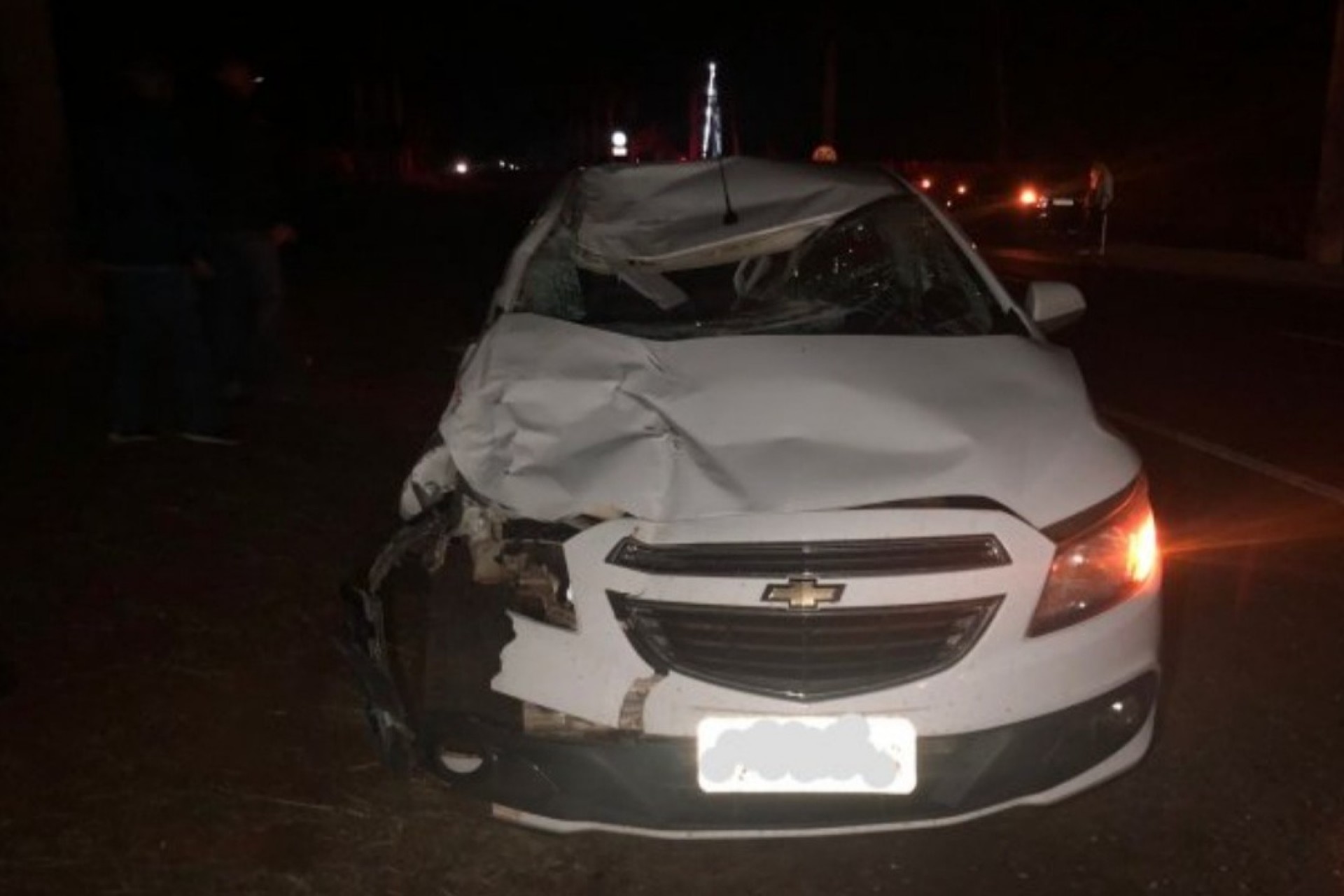 Cavalo é atropelado em frente ao parque industrial de Santa Helena