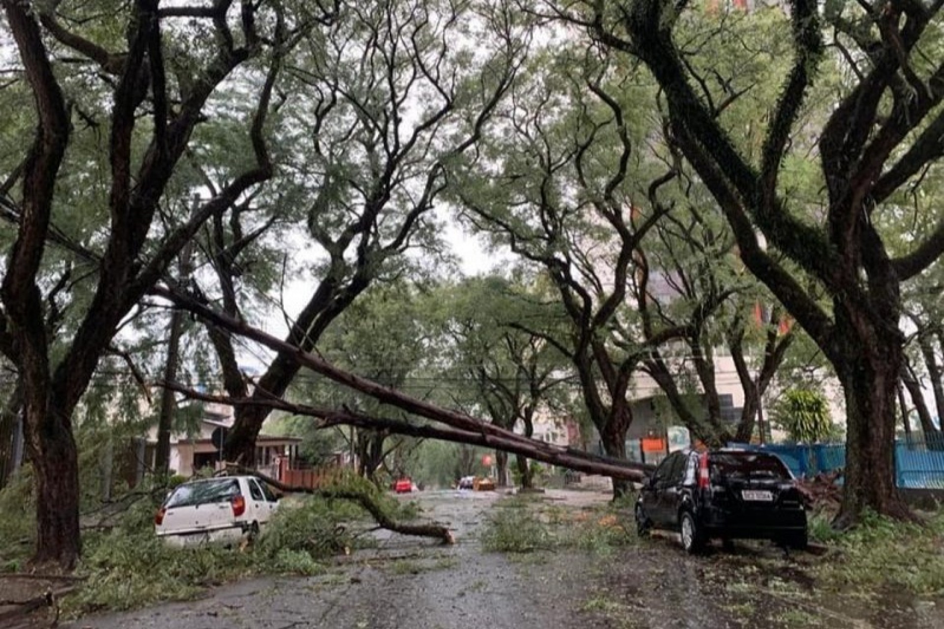 Ciclone no Sul: meteorologistas alertam para a possibilidade de novos temporais