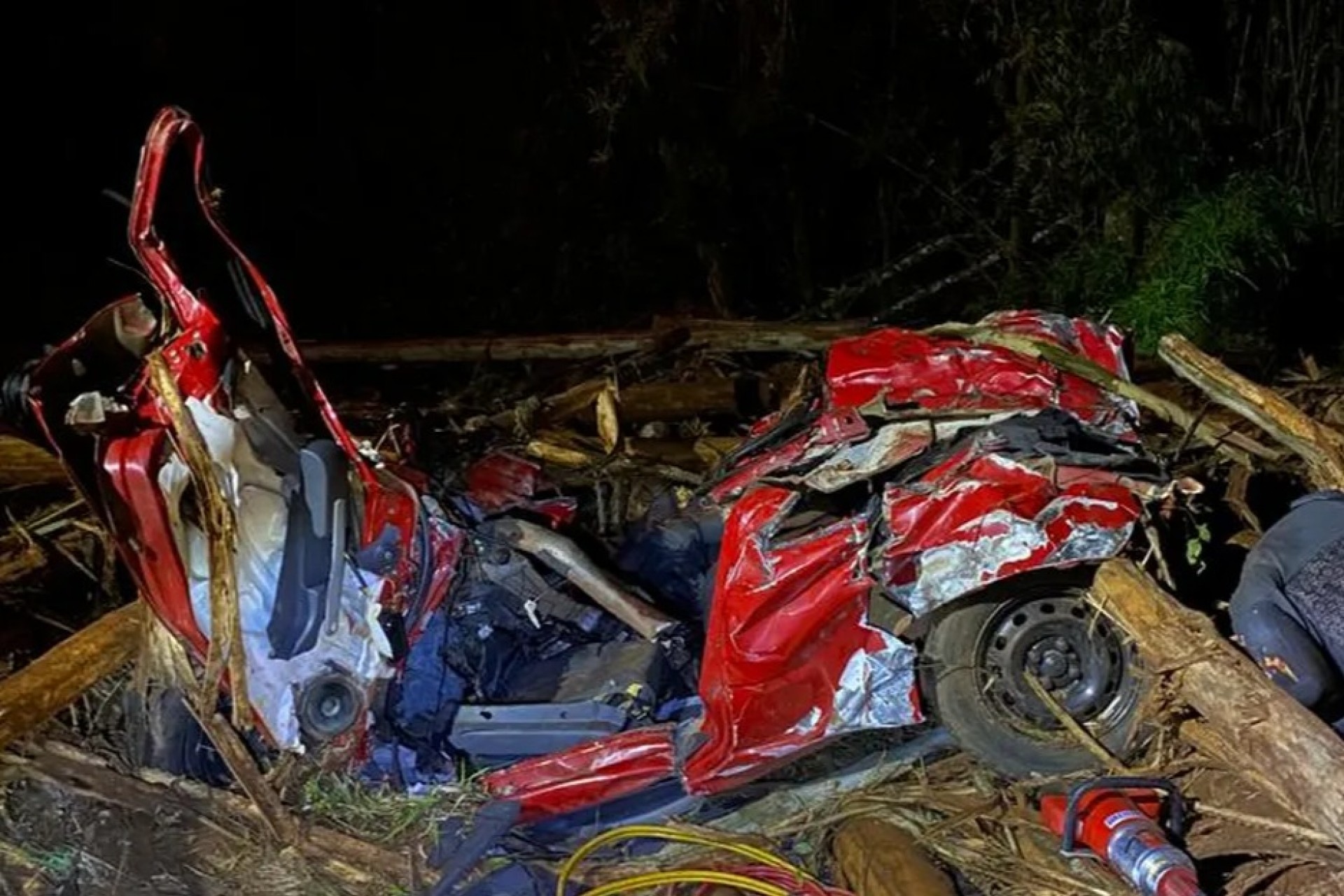 Cinco pessoas morrem após toras de eucalipto caírem de caminhão sobre carros
