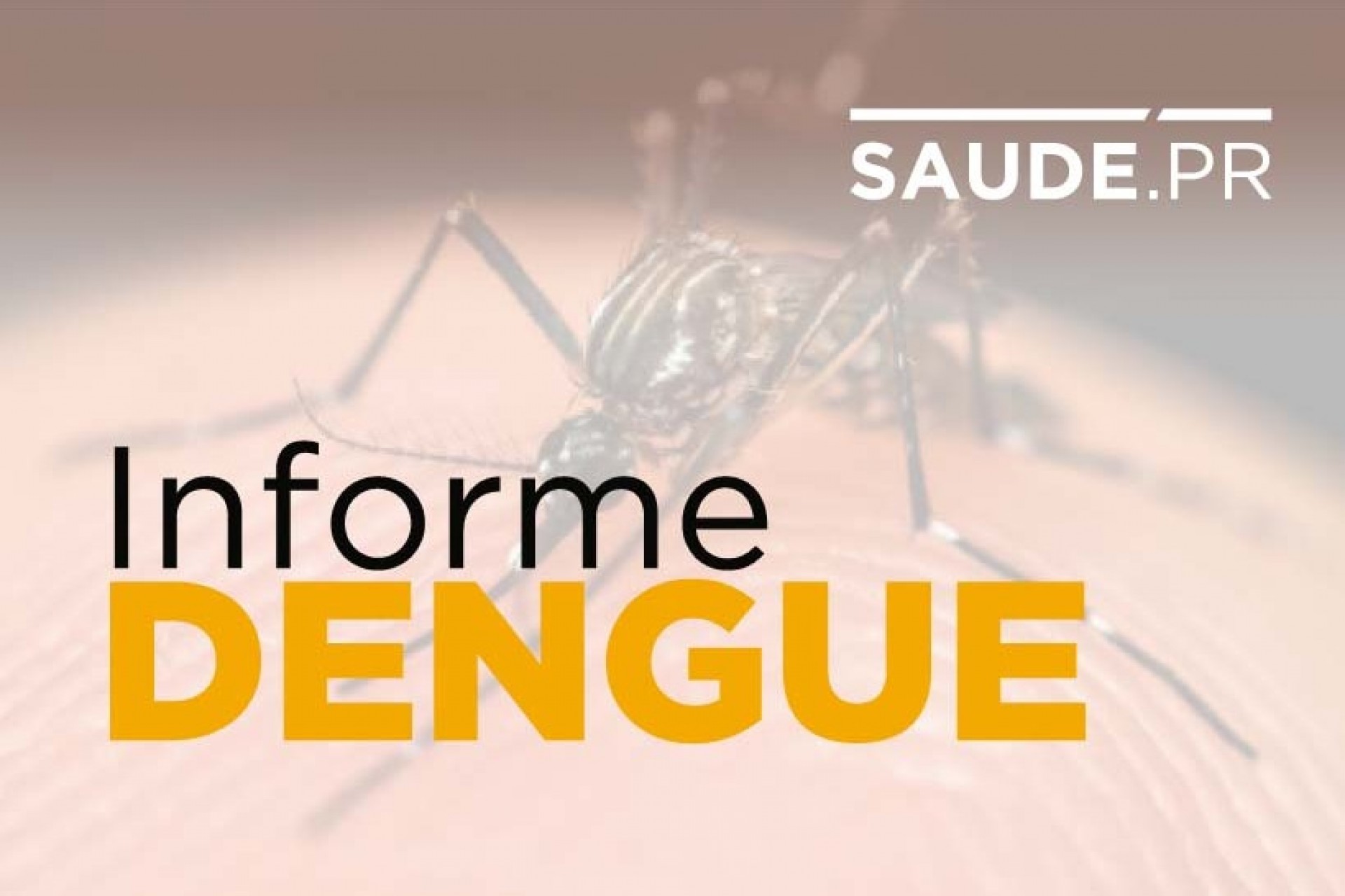 Começa o novo período de monitoramento da dengue no Paraná