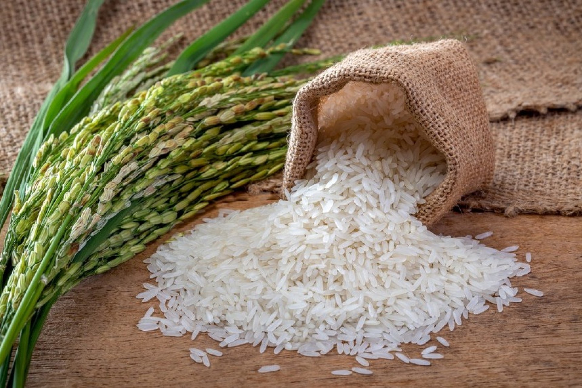 Compra de arroz importado pode demandar R$ 4 bilhões