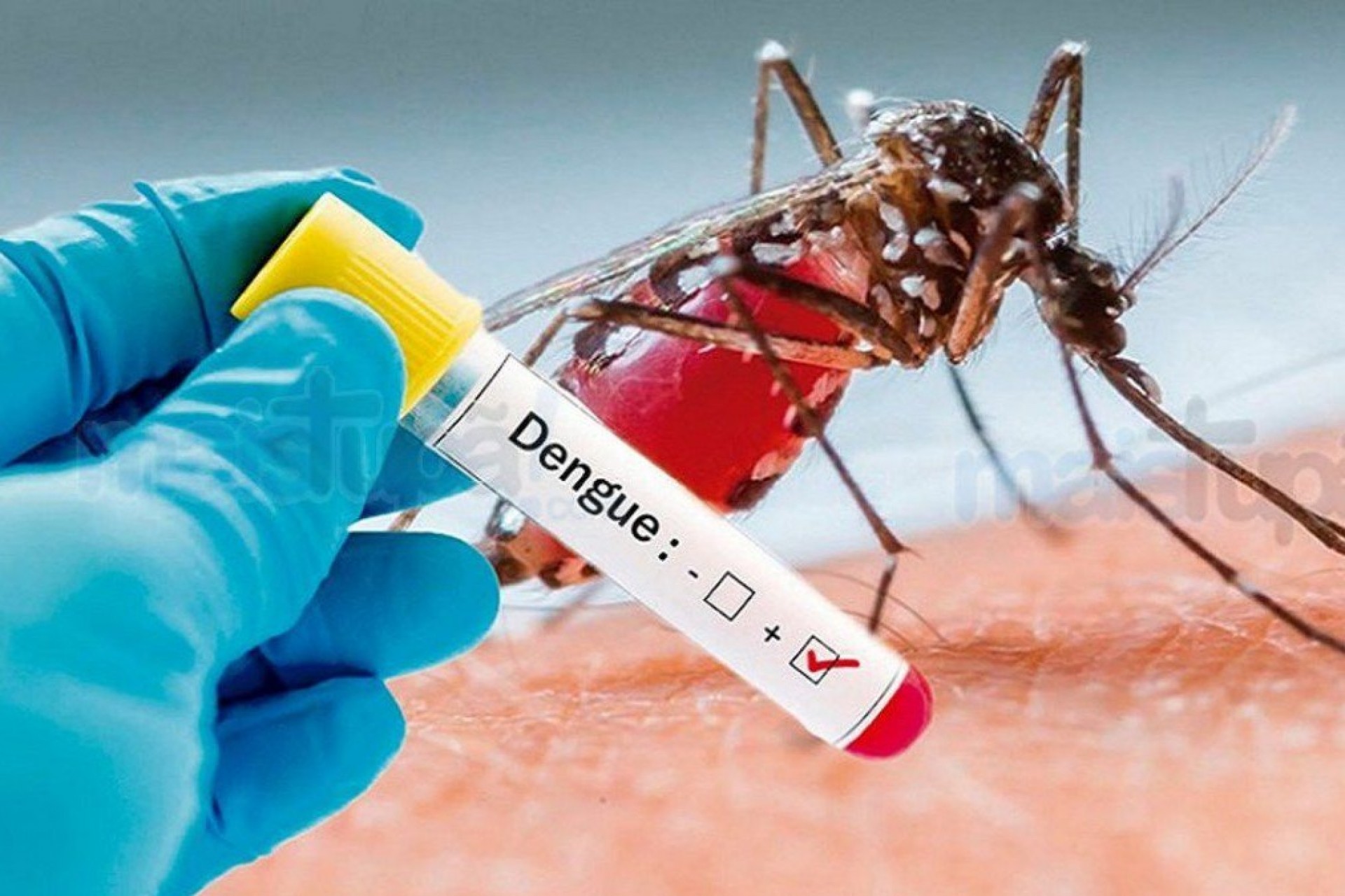Confirmados os primeiros casos de dengue em Missal