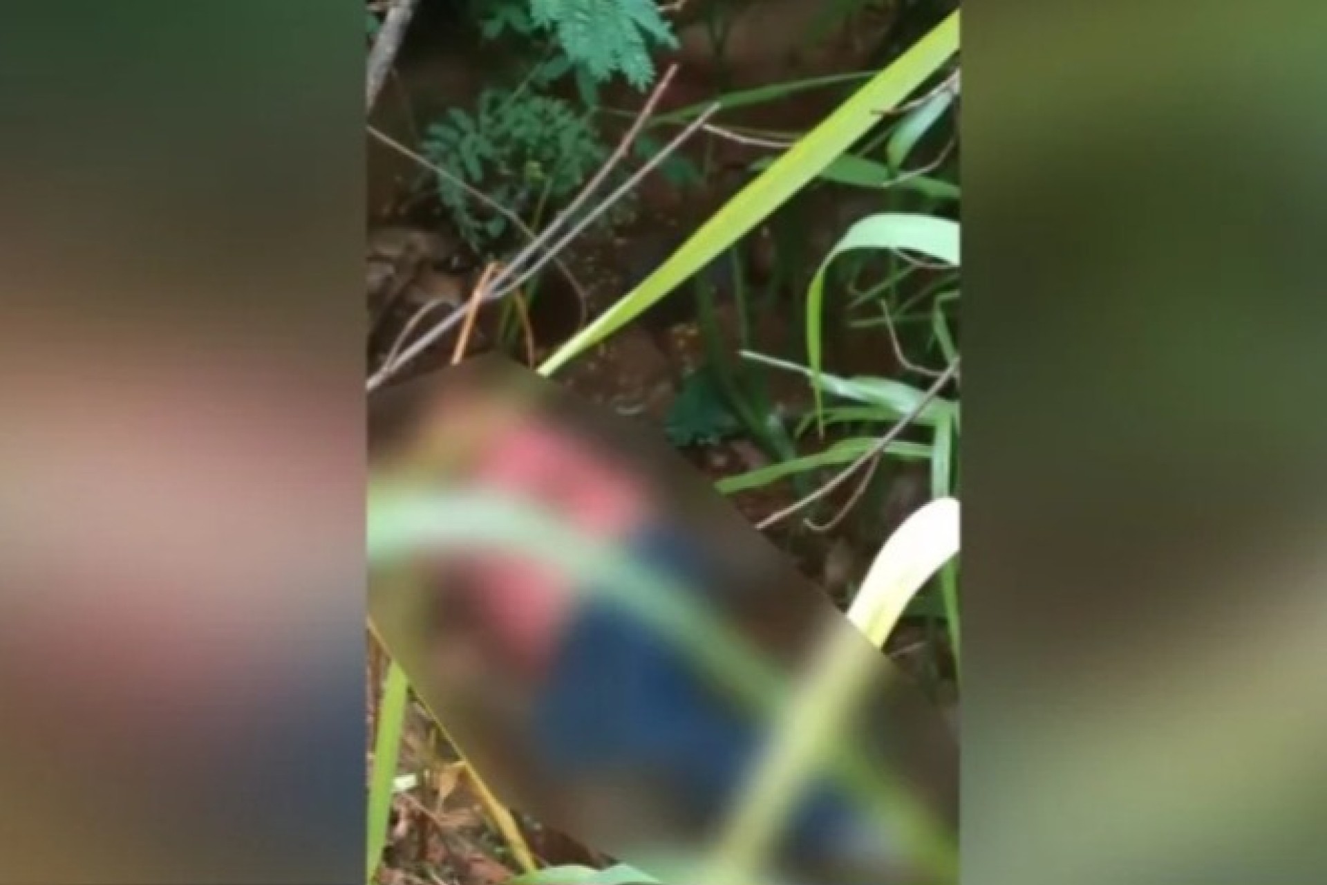 Corpo com sinais de morte violenta é encontrado em riacho no interior de Matelândia