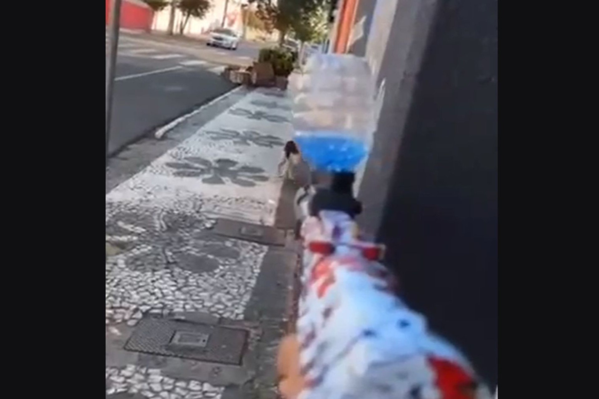Crueldade: Homem é preso após atirar bolinha de gel contra cão no Paraná
