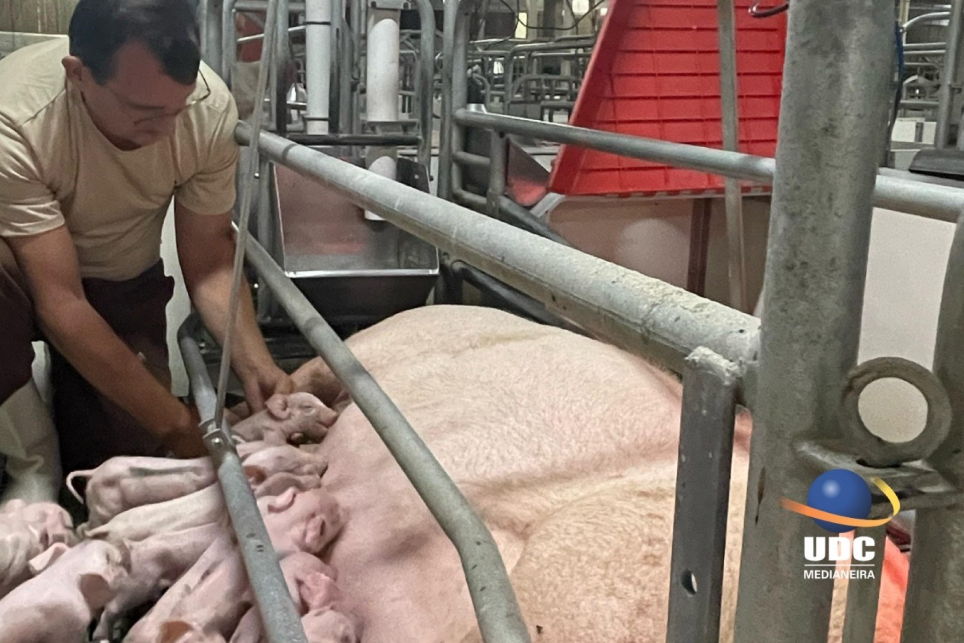 Curso de Medicina Veterinária da UDC Medianeira recebe conceito máximo do MEC