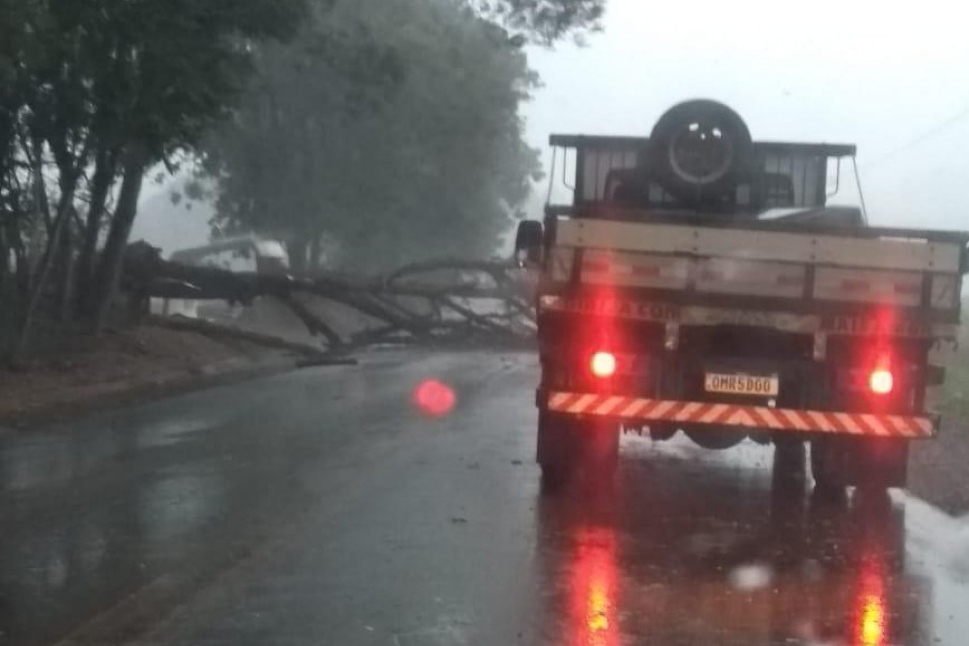 Defesa Civil de Missal age rápido e retira árvore caída com o temporal