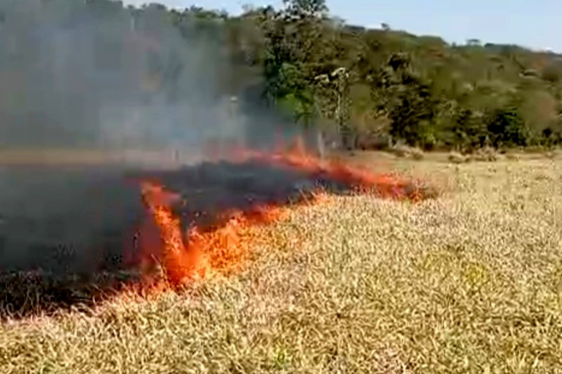 Defesa Civil de Missal atua para combater focos de incêndio na última terça-feira
