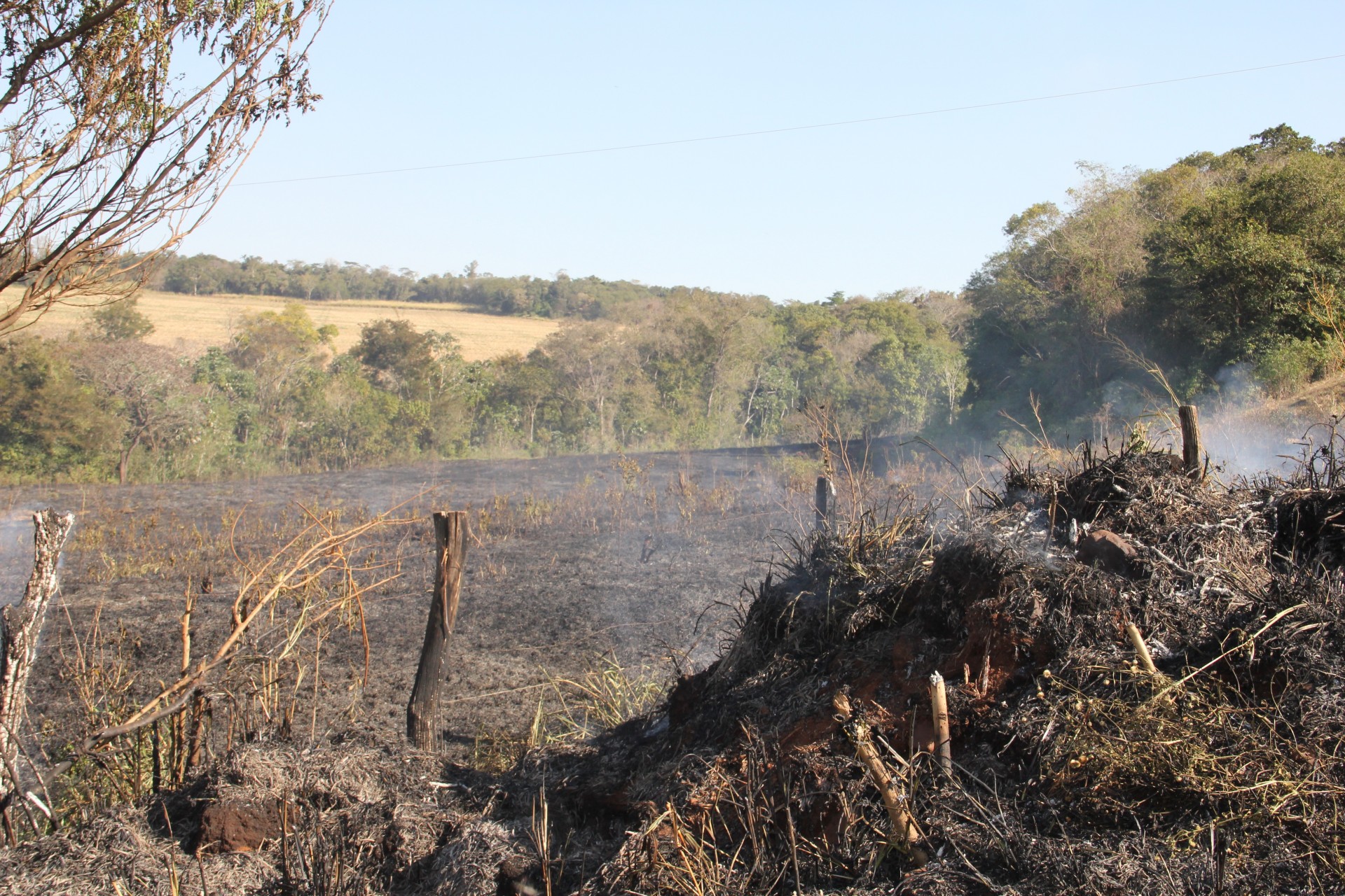 Defesa Civil de Missal combate incêndio próximo a Vista Alegre