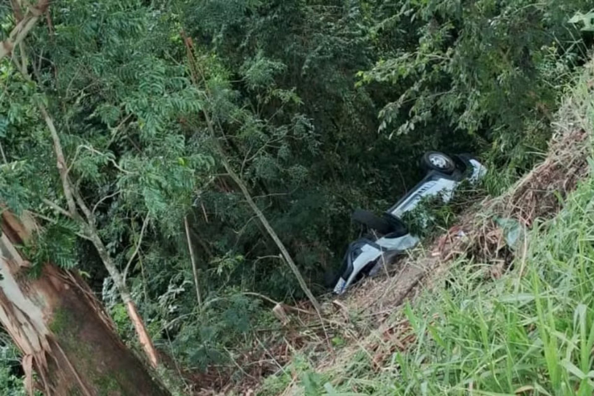 Idoso dado como desaparecido é encontrado morto em caminhonete capotada, no Paraná
