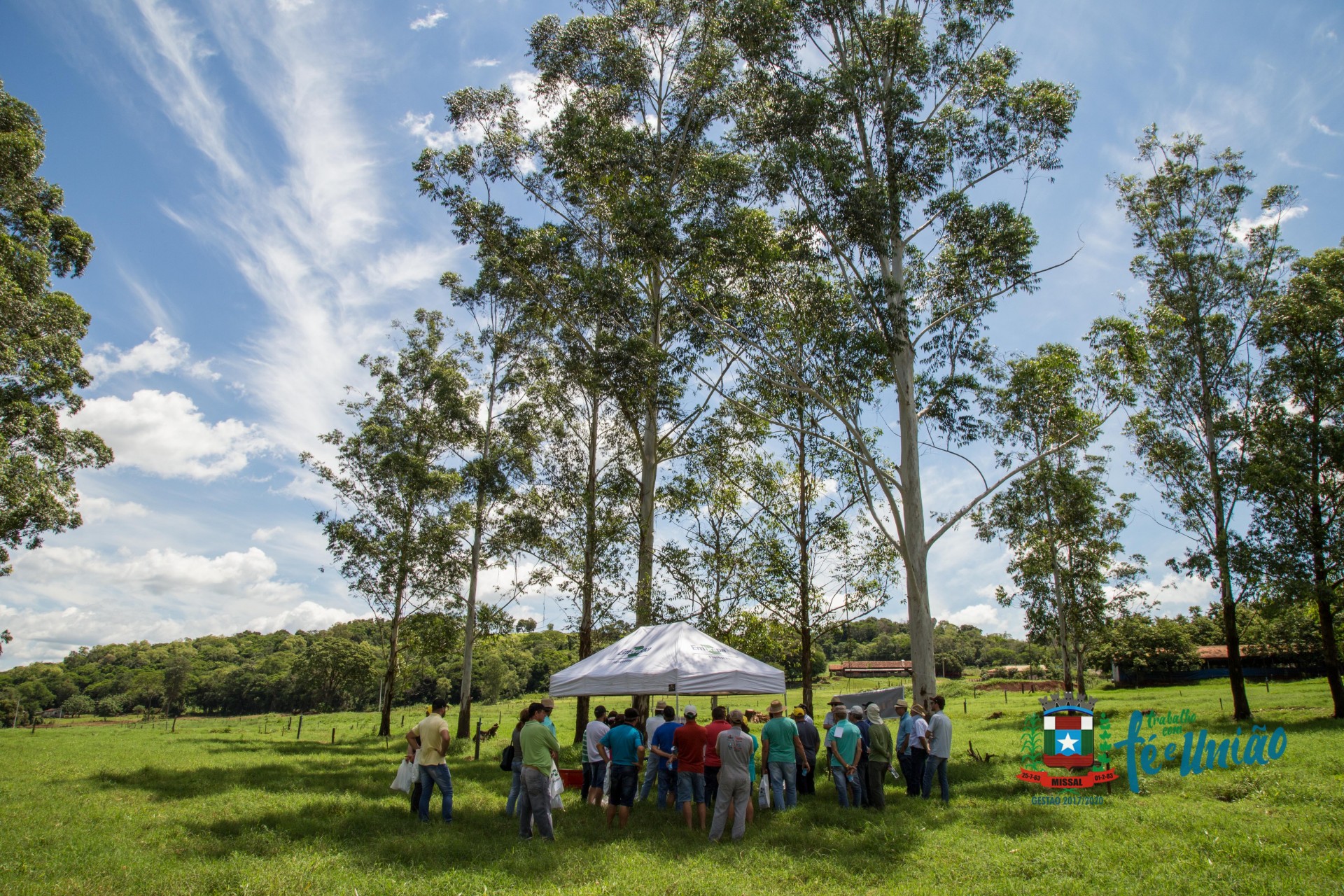 IDR-Paraná organiza Tarde de Campo de Pecuária Leiteira em Missal