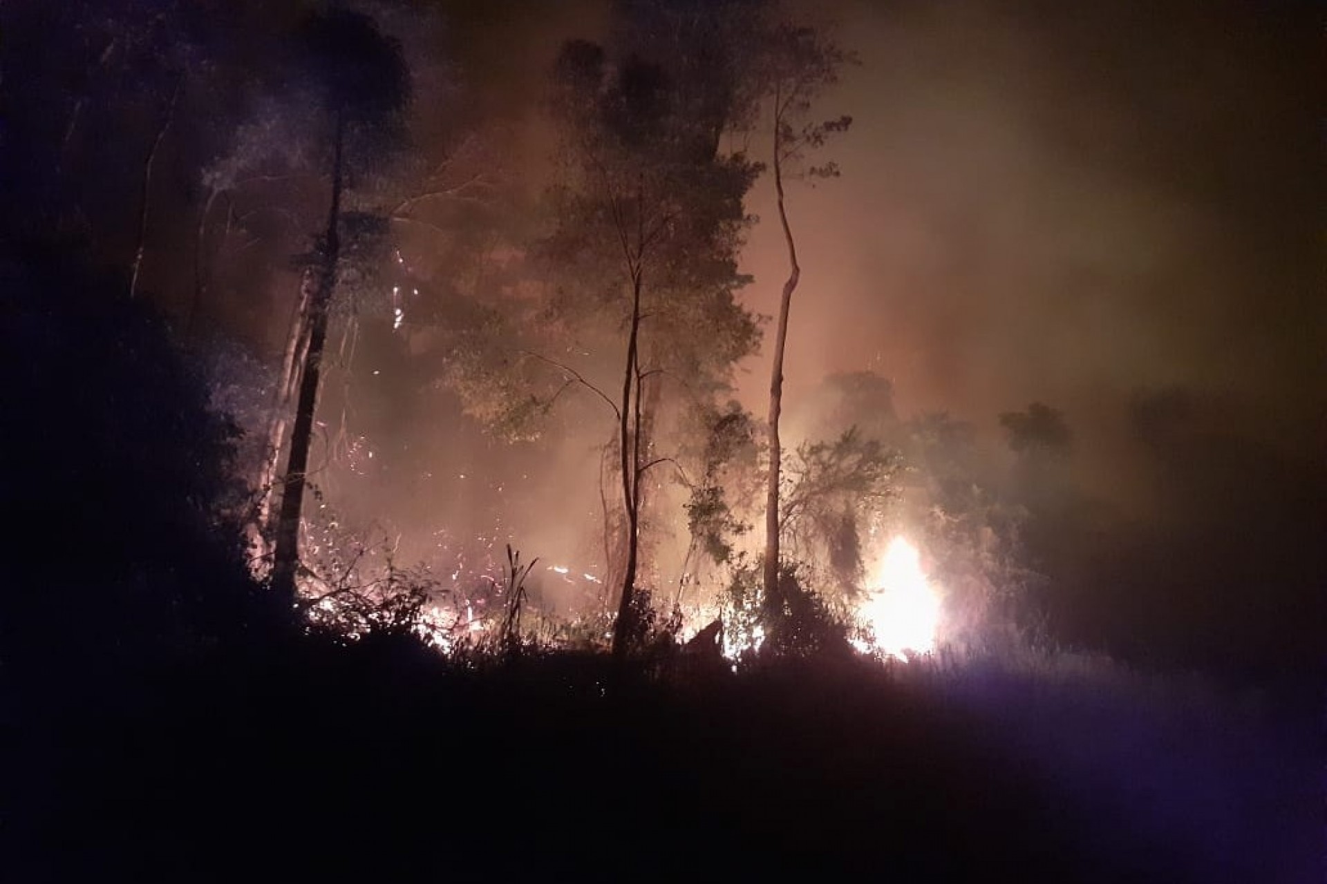 Incêndio na divisa dos municípios de Missal e Ramilândia entra madrugada a dentro