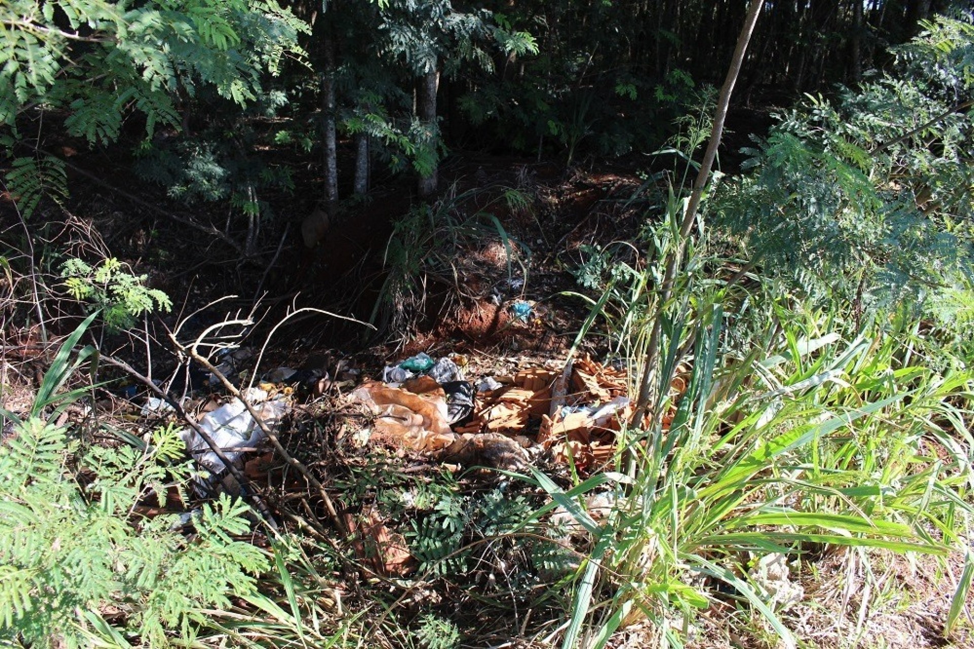 Itaipulândia pede que a população ajude a denunciar descarte irregular do lixo