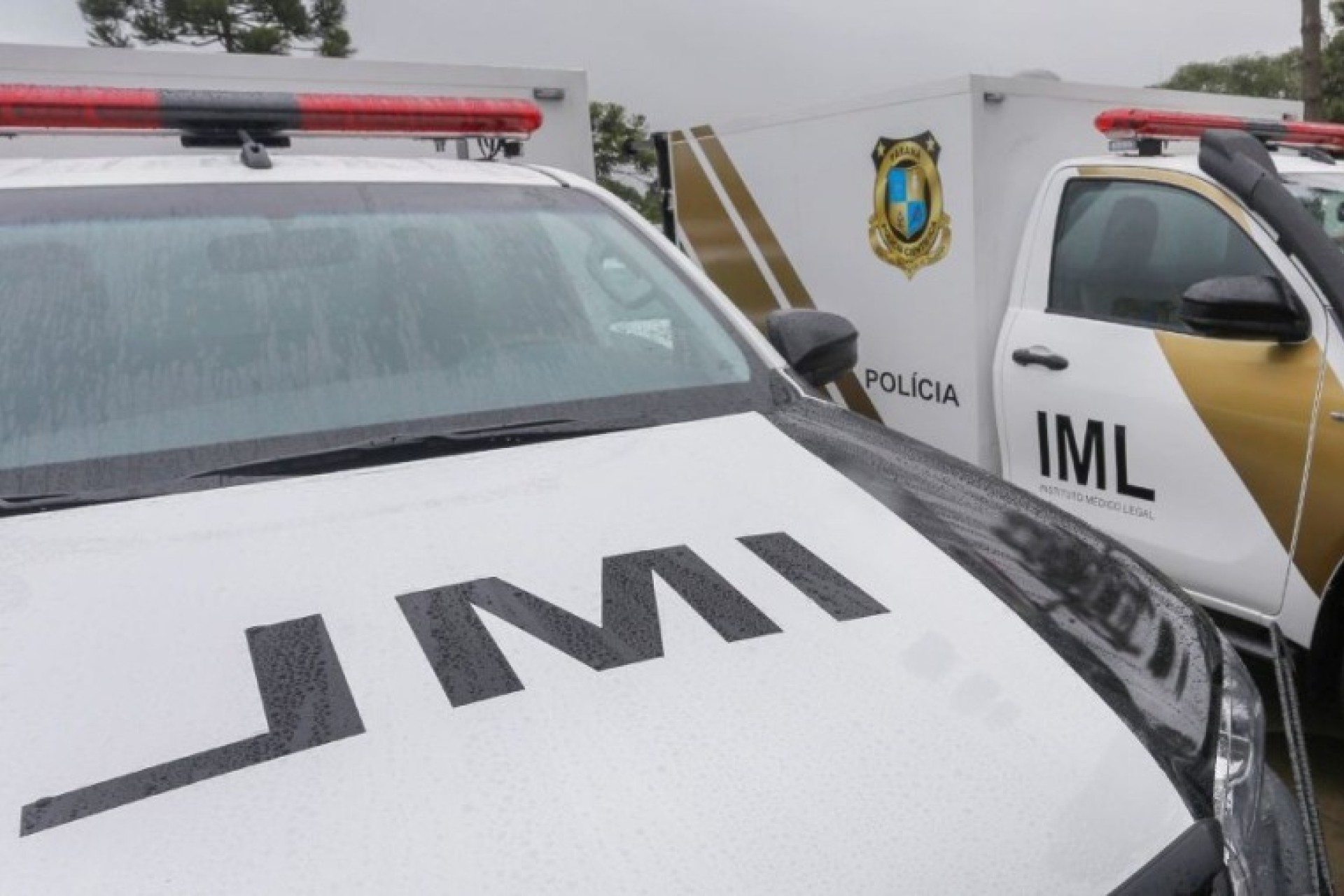 Jovem é preso após matar mãe e irmão de 10 anos no Paraná