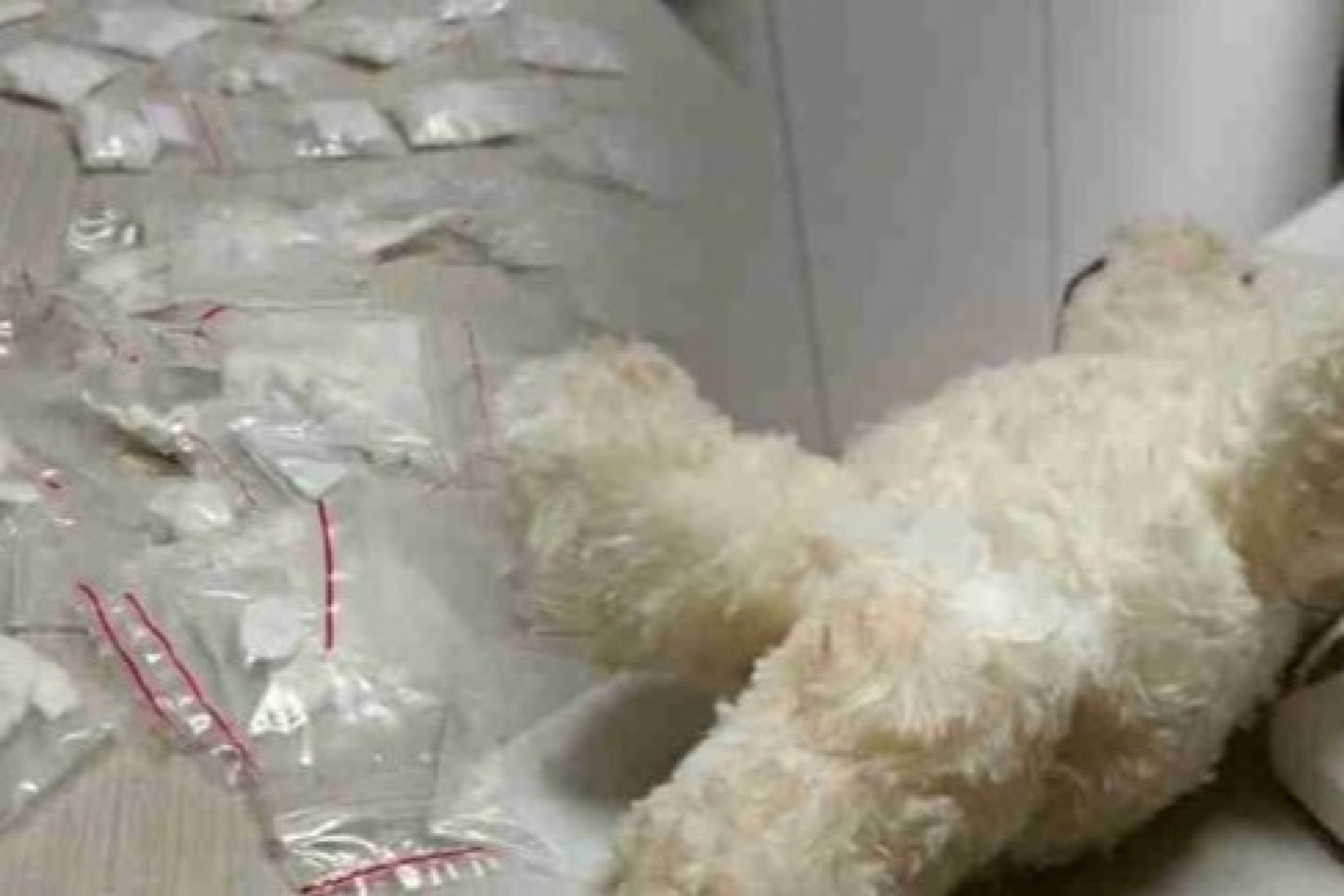 Jovem é preso com droga escondida em urso de pelúcia em Toledo