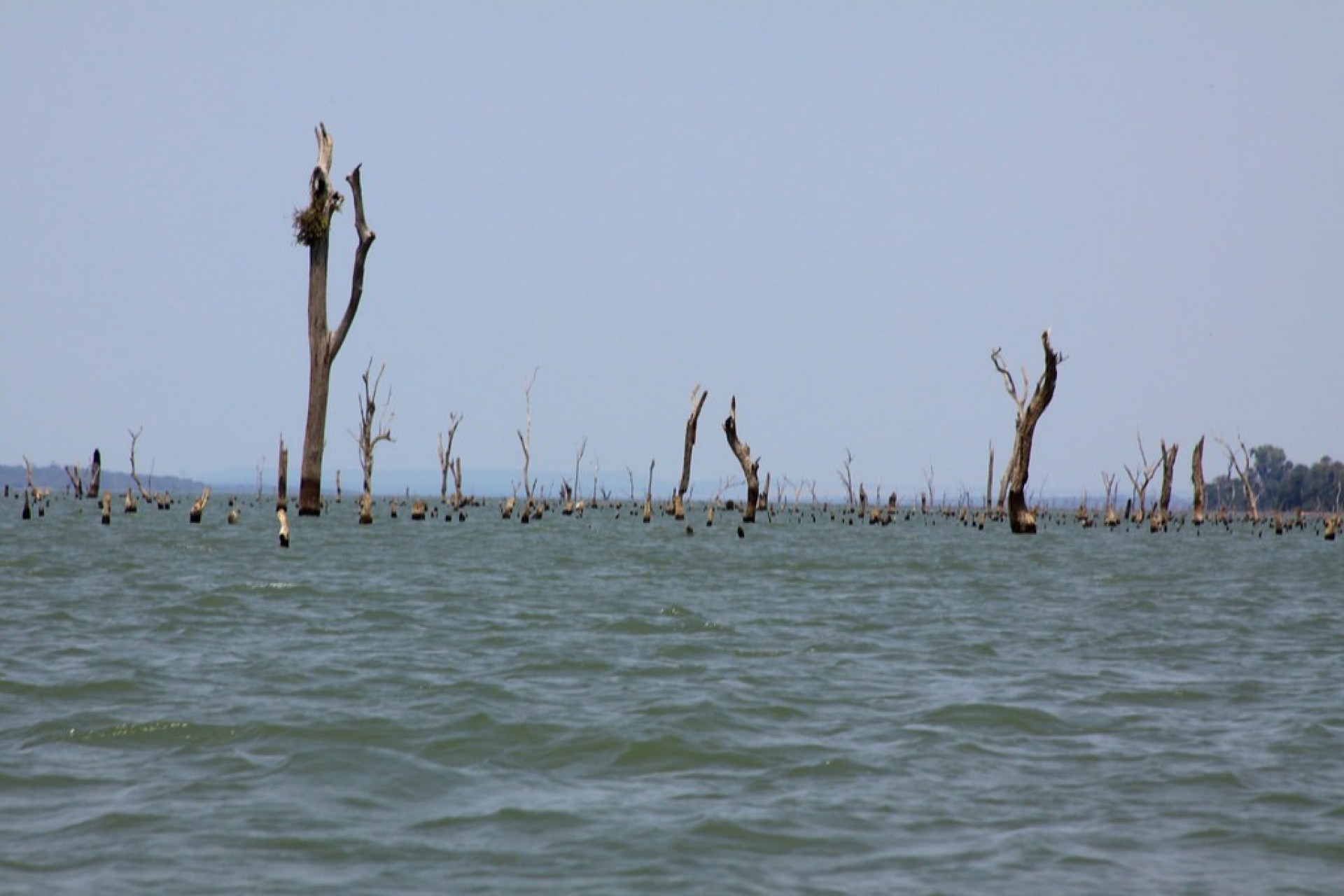 Lancha com quatro pessoas vira no Lago de Itaipu