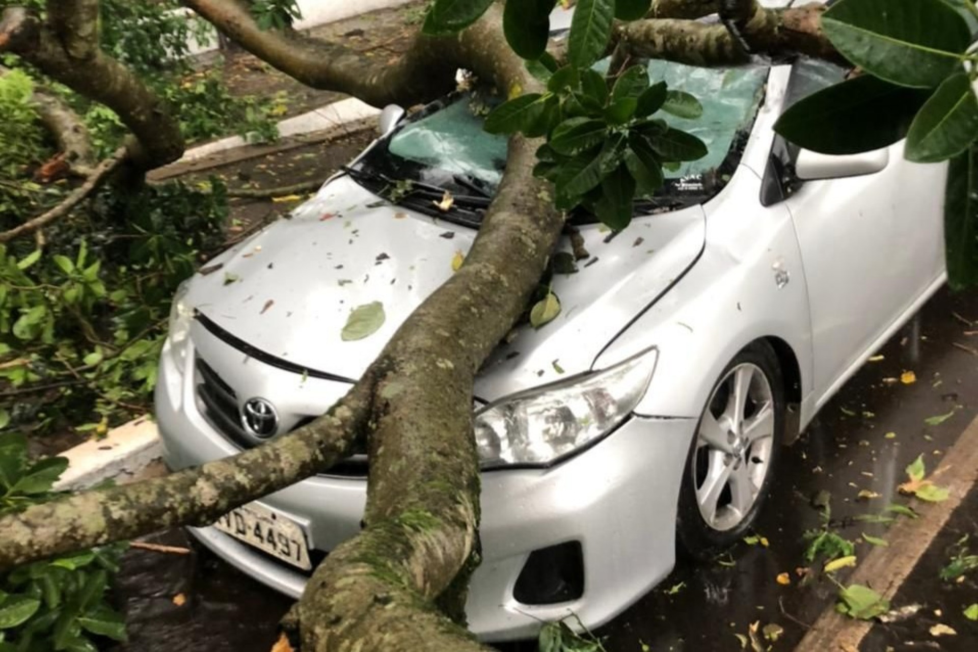 Matelândia: Temporal registrado ontem destelhou casas e derrubou árvores