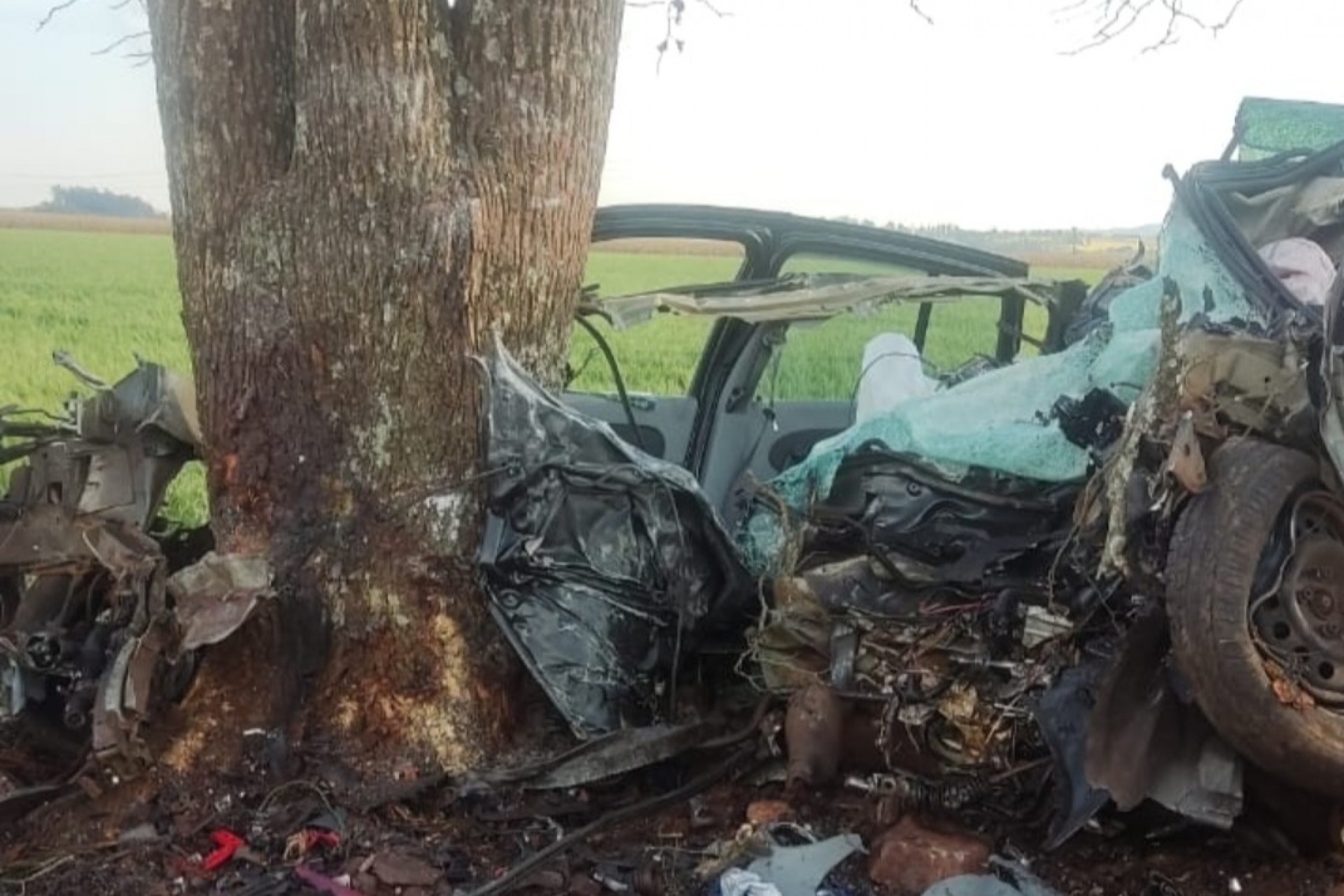 Medianeira: Motorista morre após colidir com veículo em árvore na PR 495