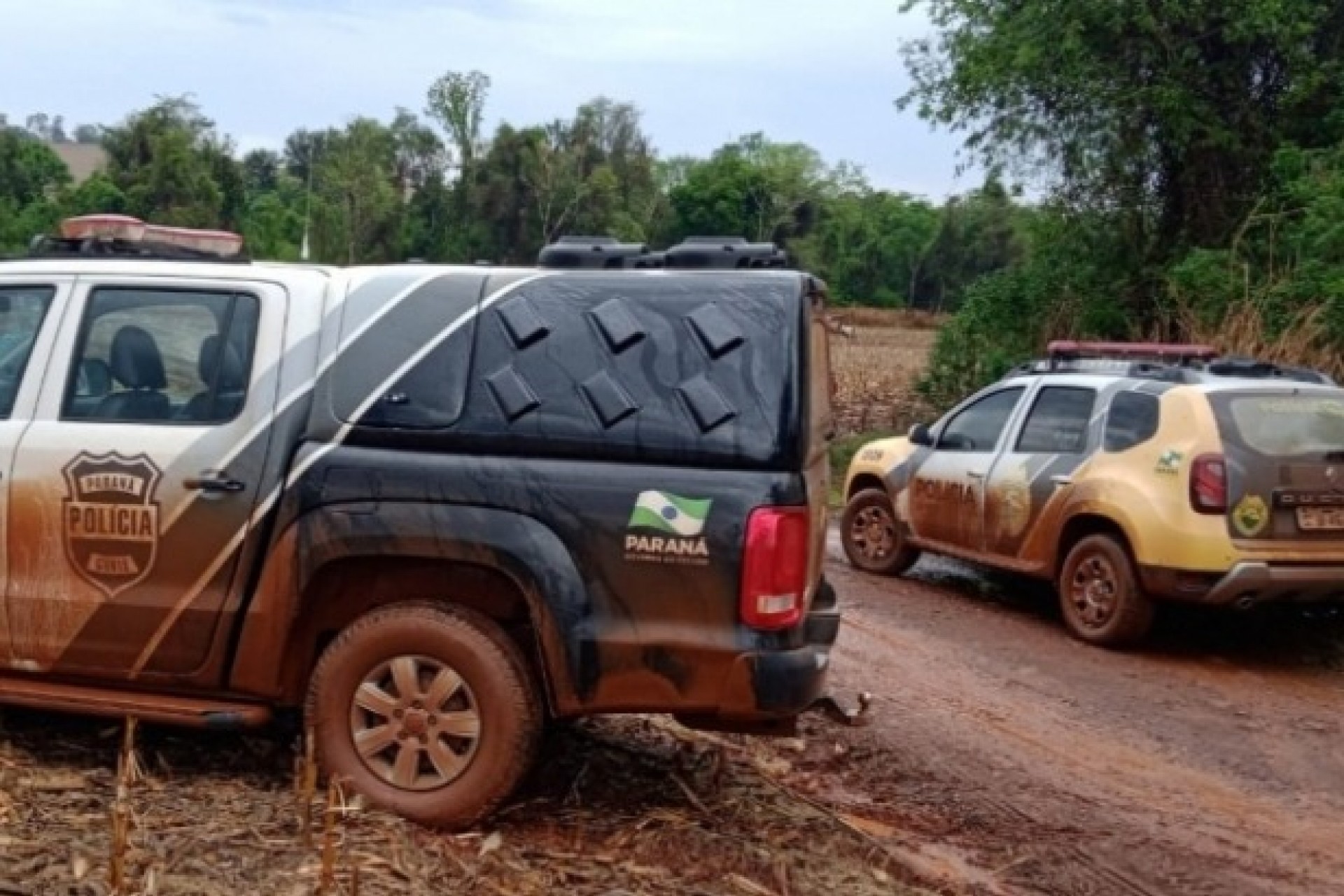 Medianeira: Ossada é encontrada ao lado de estrada rural