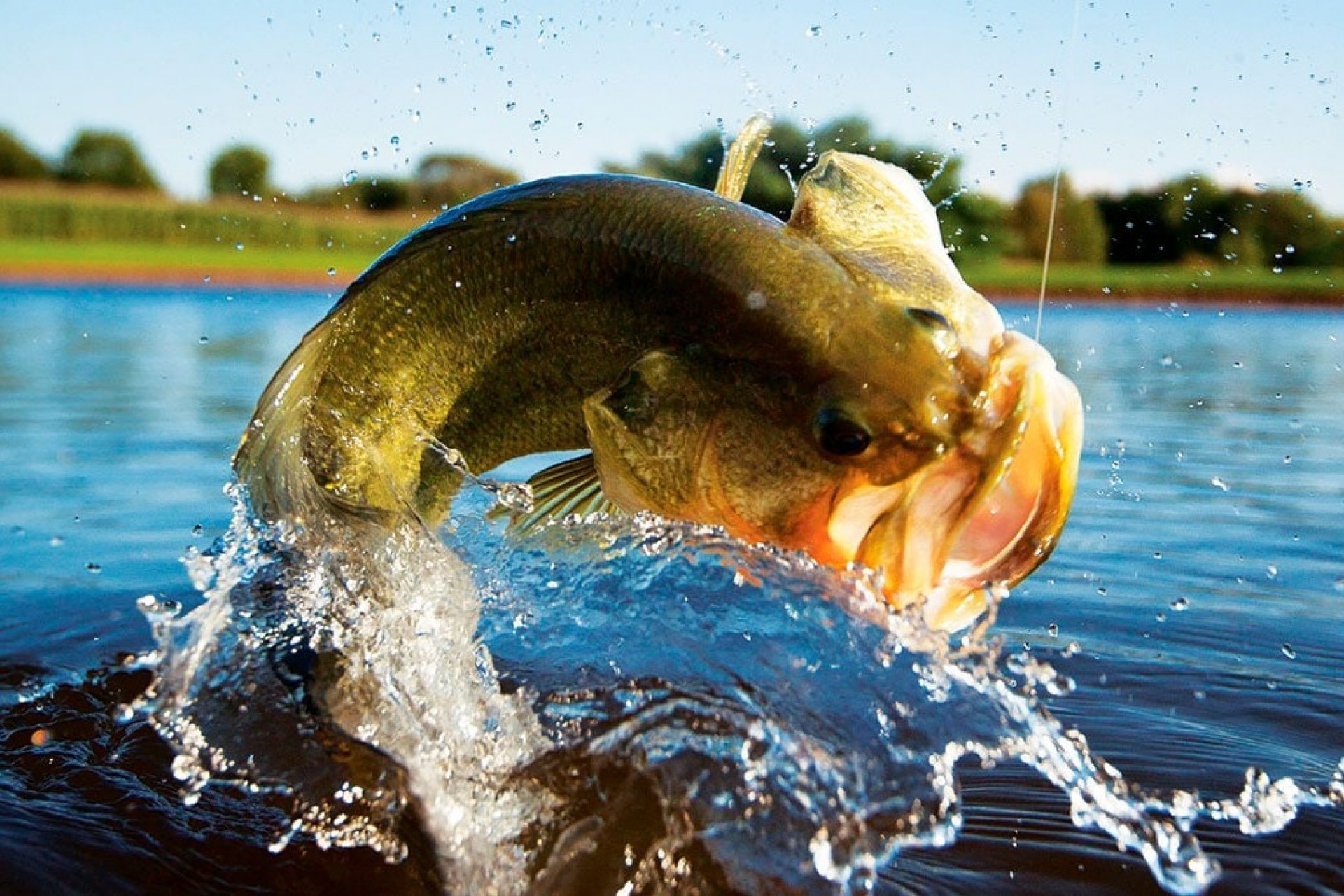 Ministério Público intervém para que Torneio de Pesca não seja realizado em Itaipulândia