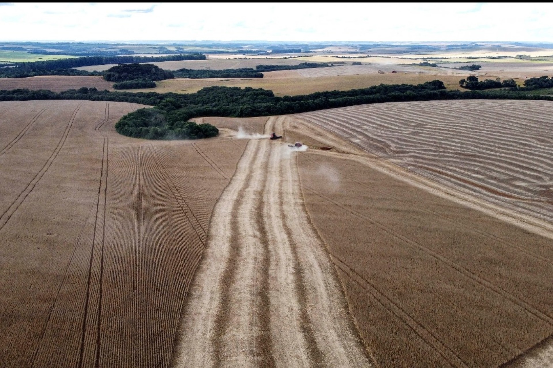 Missal está entre as 34 cidades do Paraná com Valor Bruto de Produção Agropecuária acima de R$ 1 bi