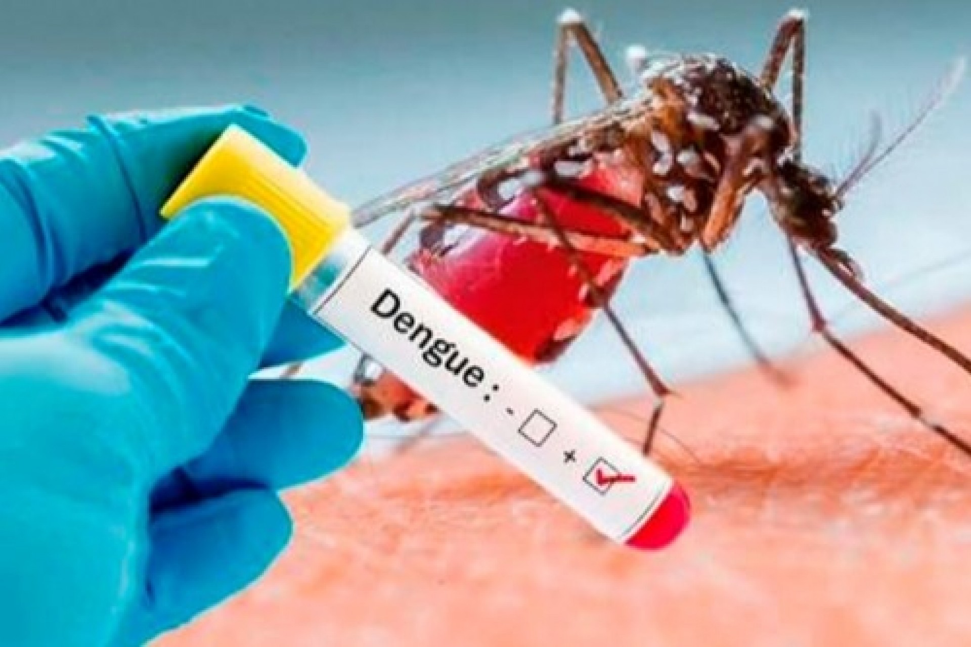 Missal registrou 31 casos de dengue desde o início do ano