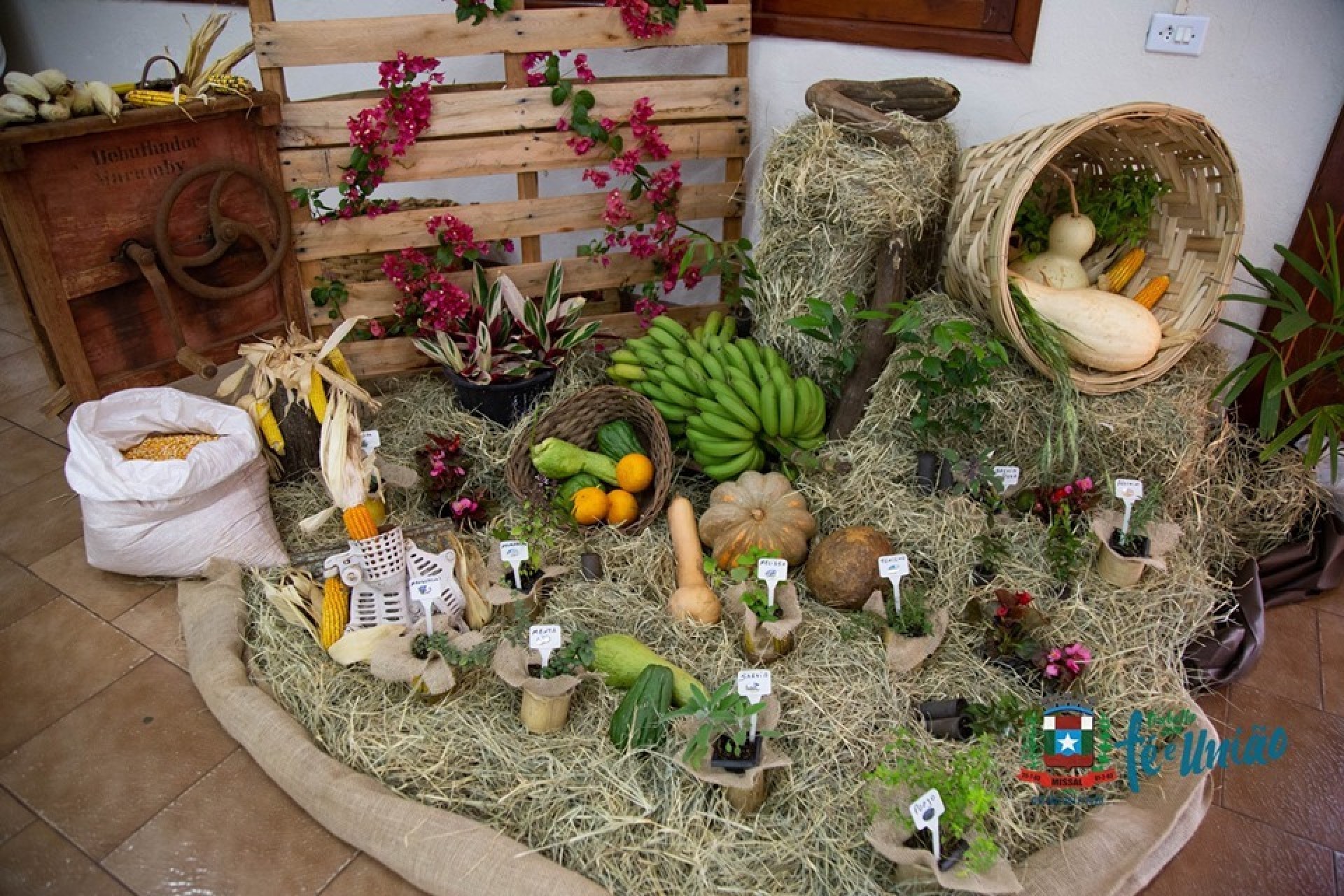 Missal sediou Feira de Agrobiodiversidade e Culinária Agroecológica