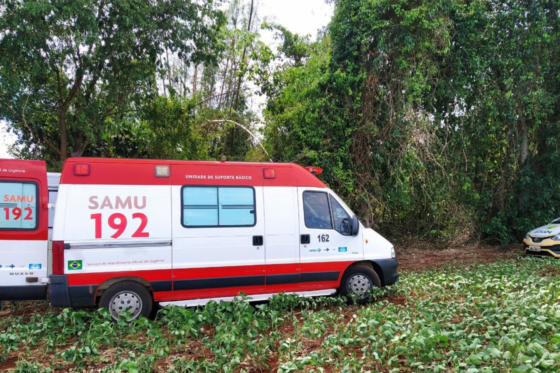 Morre assaltante baleado em confronto com a Polícia em Missal