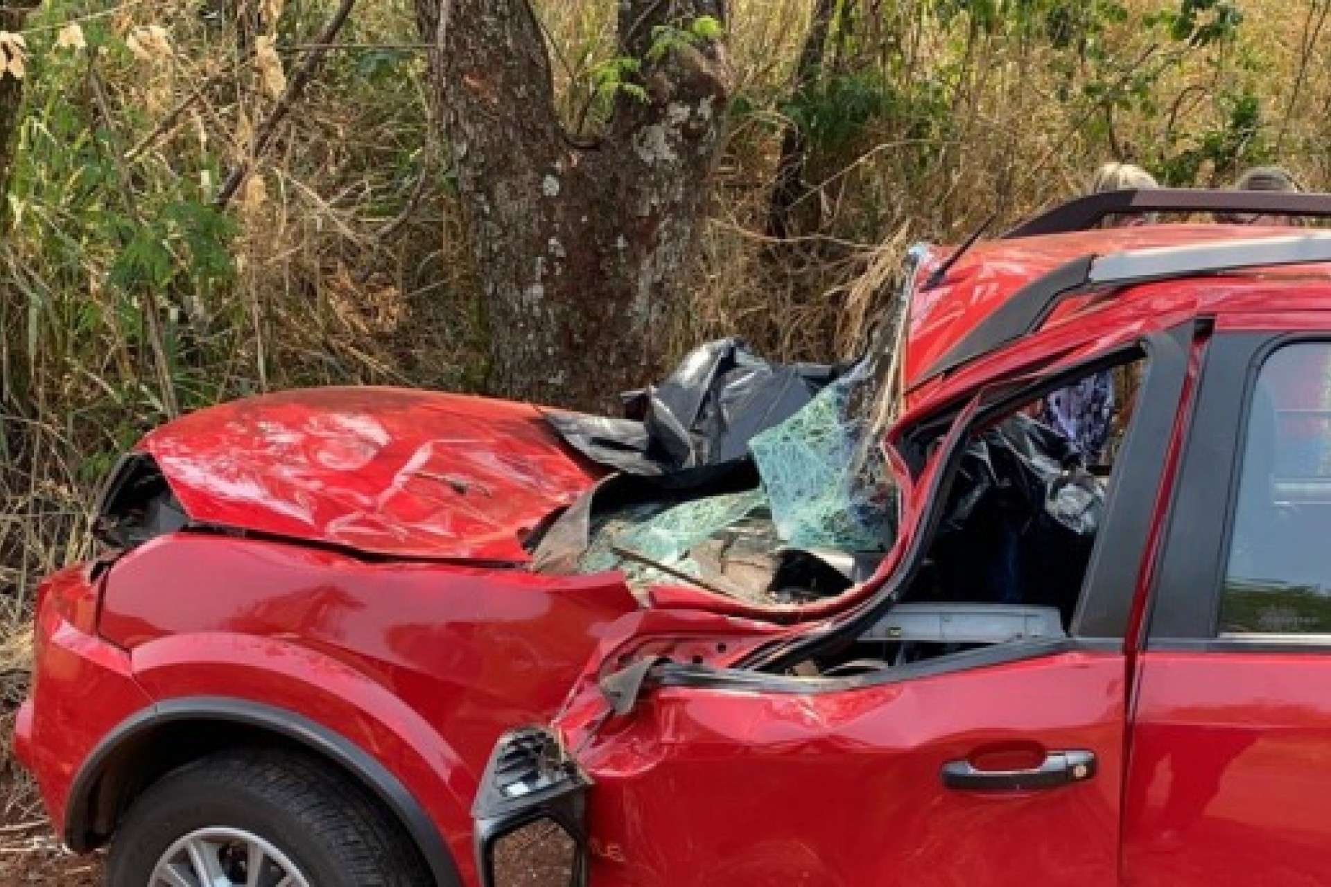 Motorista morre após colidir com veículo em árvore na PR 495