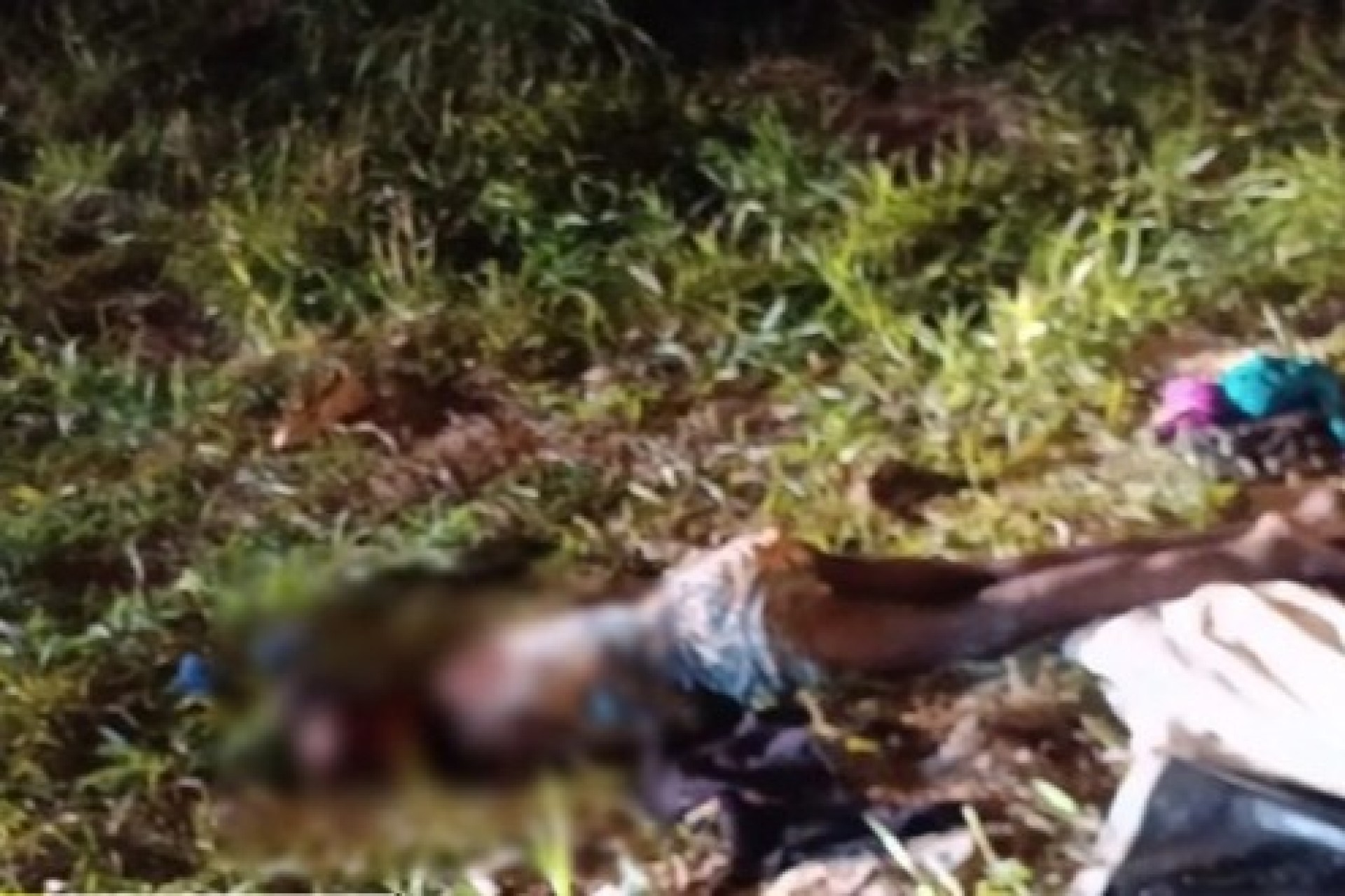 Mulher trans é morta com tiro na cabeça e desovada em lote baldio próximo à rodoviária de Foz