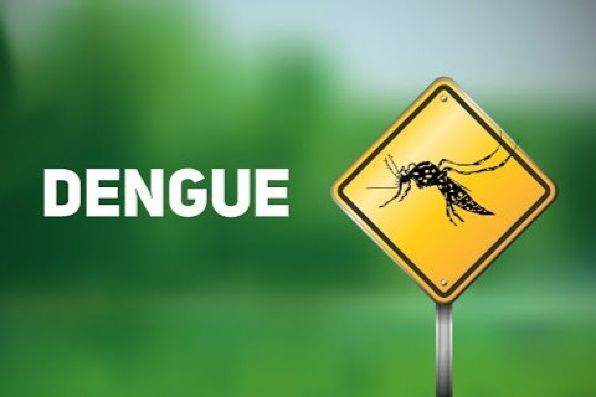 Município de Missal atualiza situação da Dengue