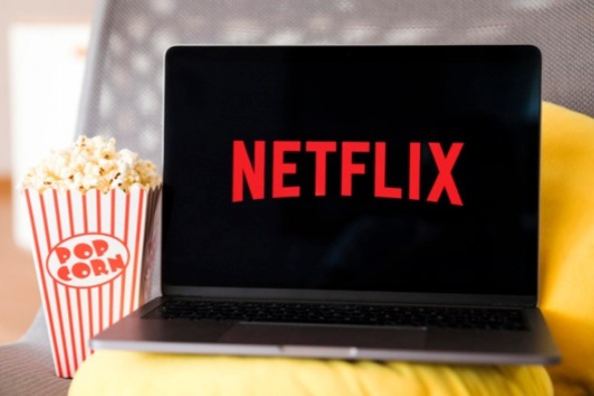 NOVIDADES: Confira o que chega à Netflix em setembro