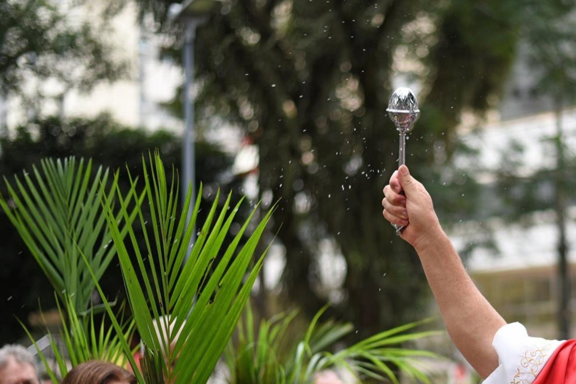 ORIENTAÇÃO: Celebração do Domingo de Ramos 2020