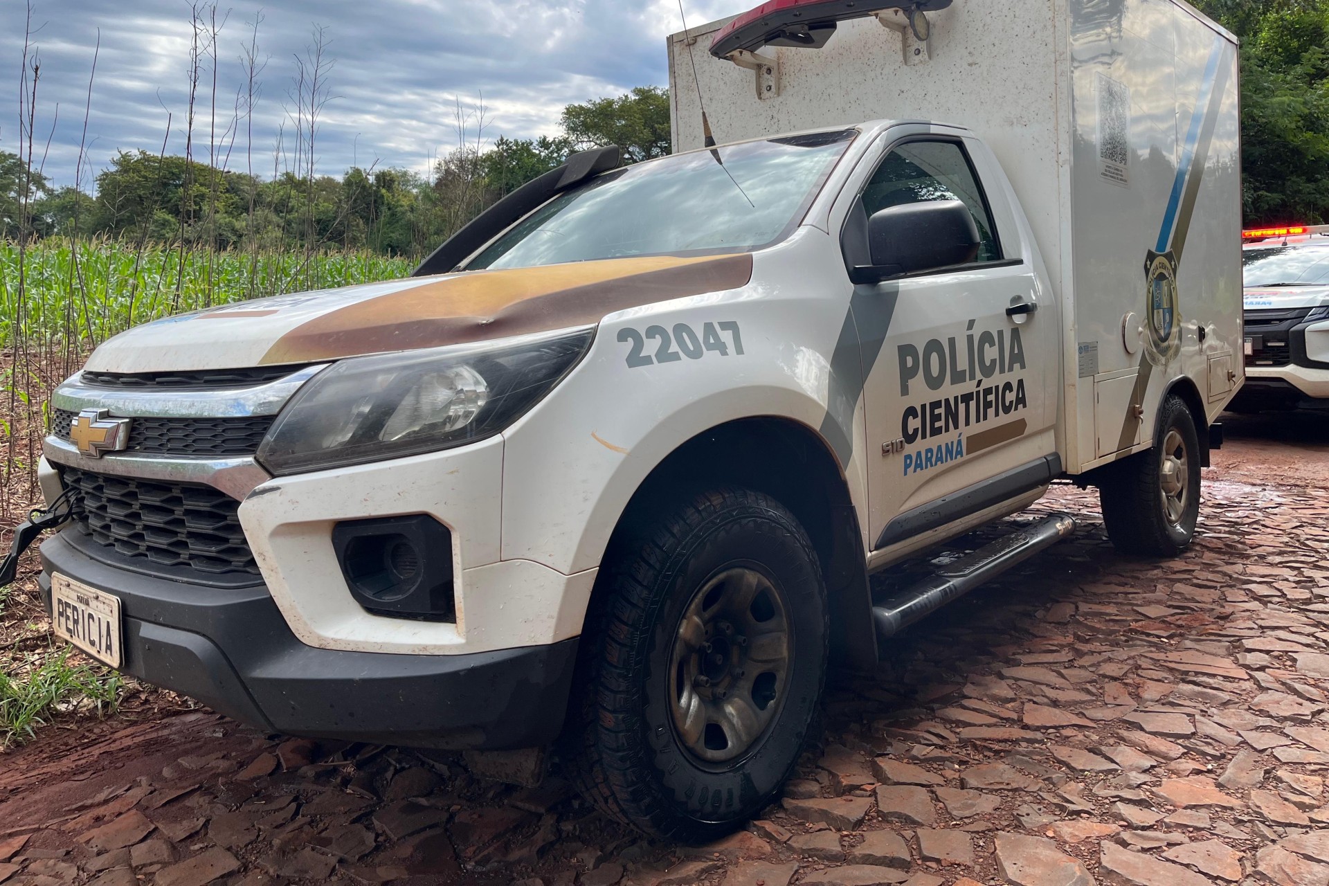 Ossada humana é encontrada parcialmente enterrada no interior de Missal; em breve, mais informações