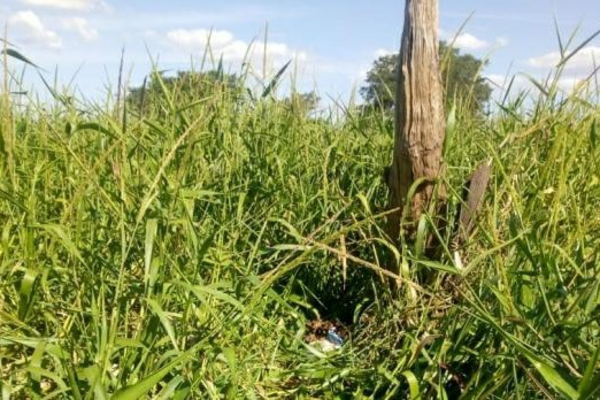 Ossada humana é encontrada por pescador na beira do Lago de Itaipu