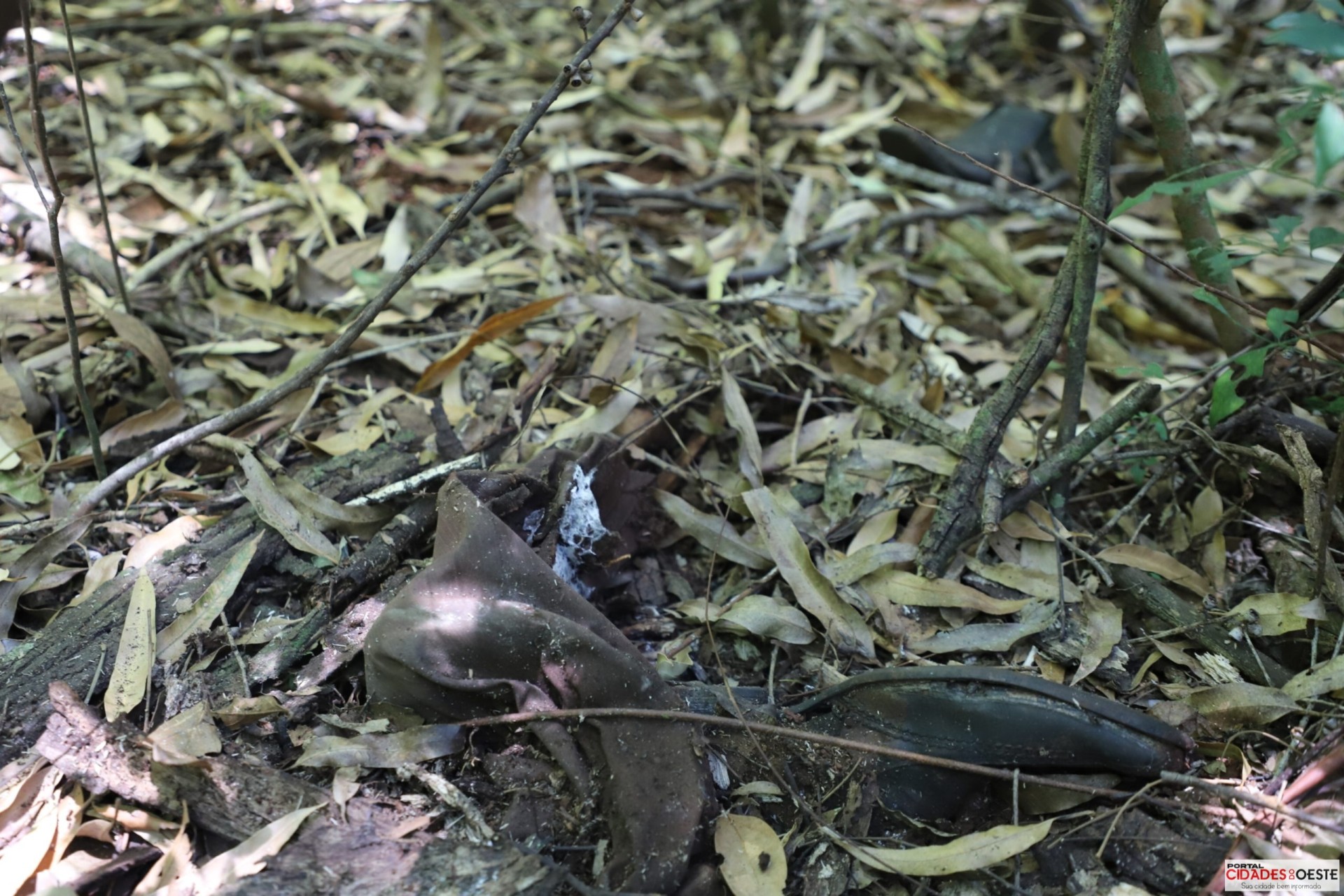Ossada humana é encontrada por populares na mata ciliar em Itaipulândia