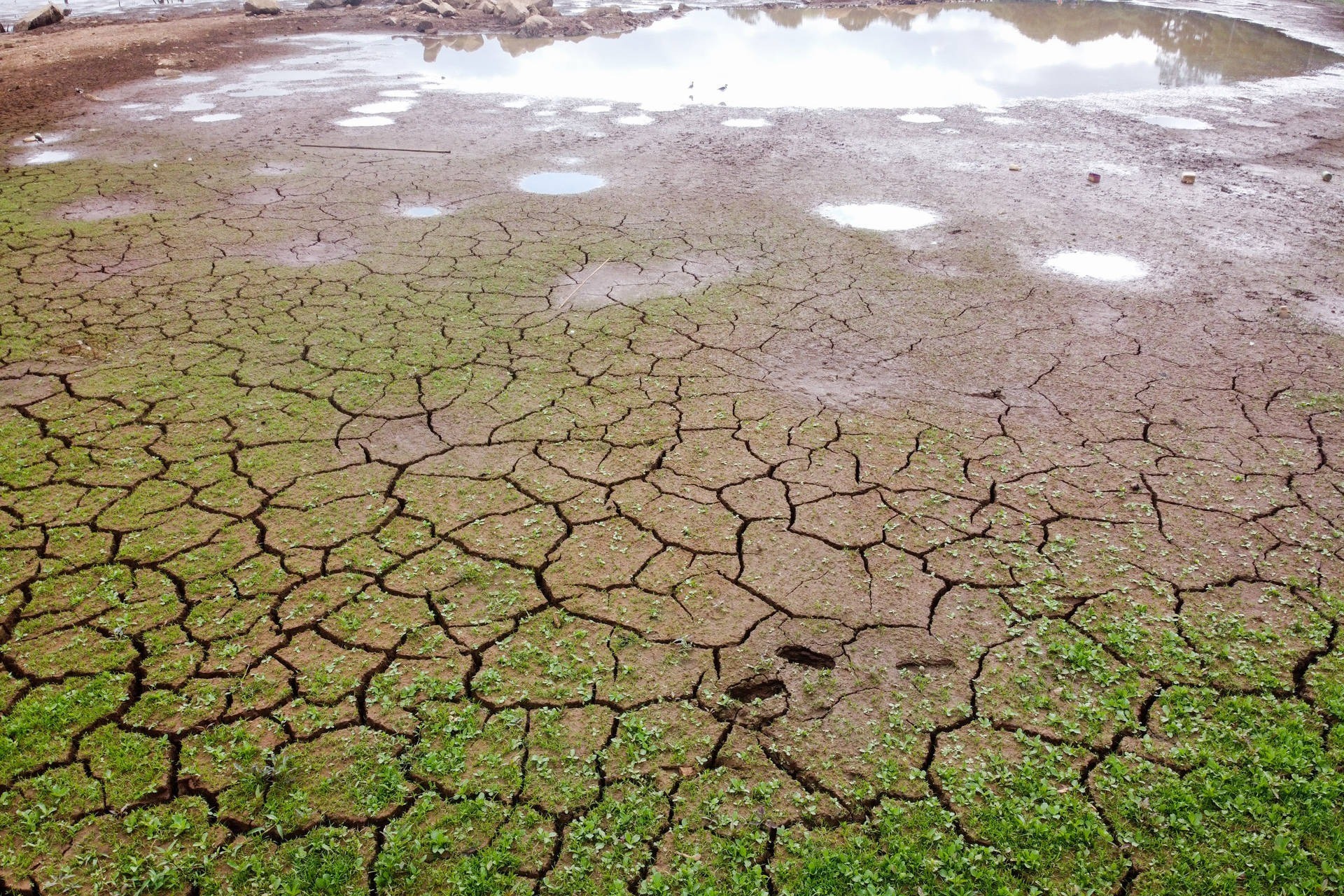 Paraná: Governo decreta situação de emergência hídrica por causa da estiagem